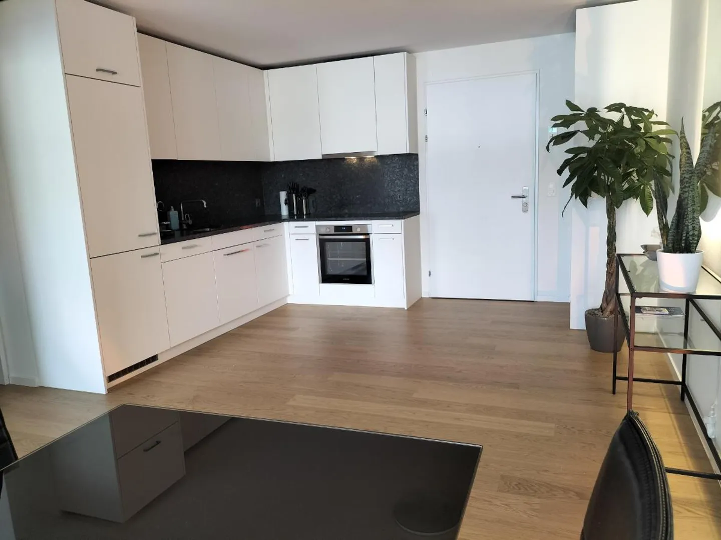 2.5 Room Apartment - Photo 4 of 5