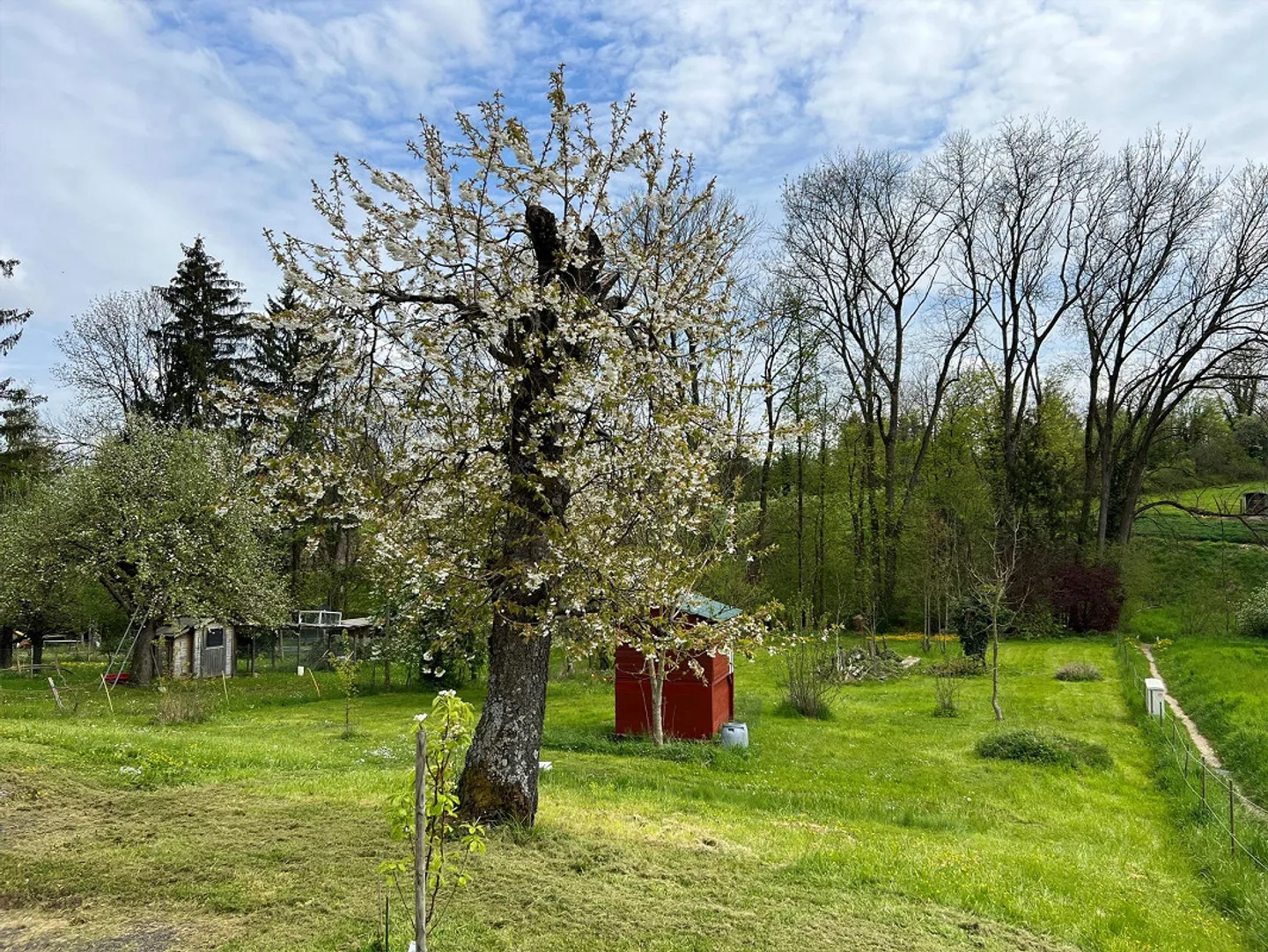 Kleines attraktives Mehrfamilienhaus mit 4 Wohnungen - Foto 9 von 10