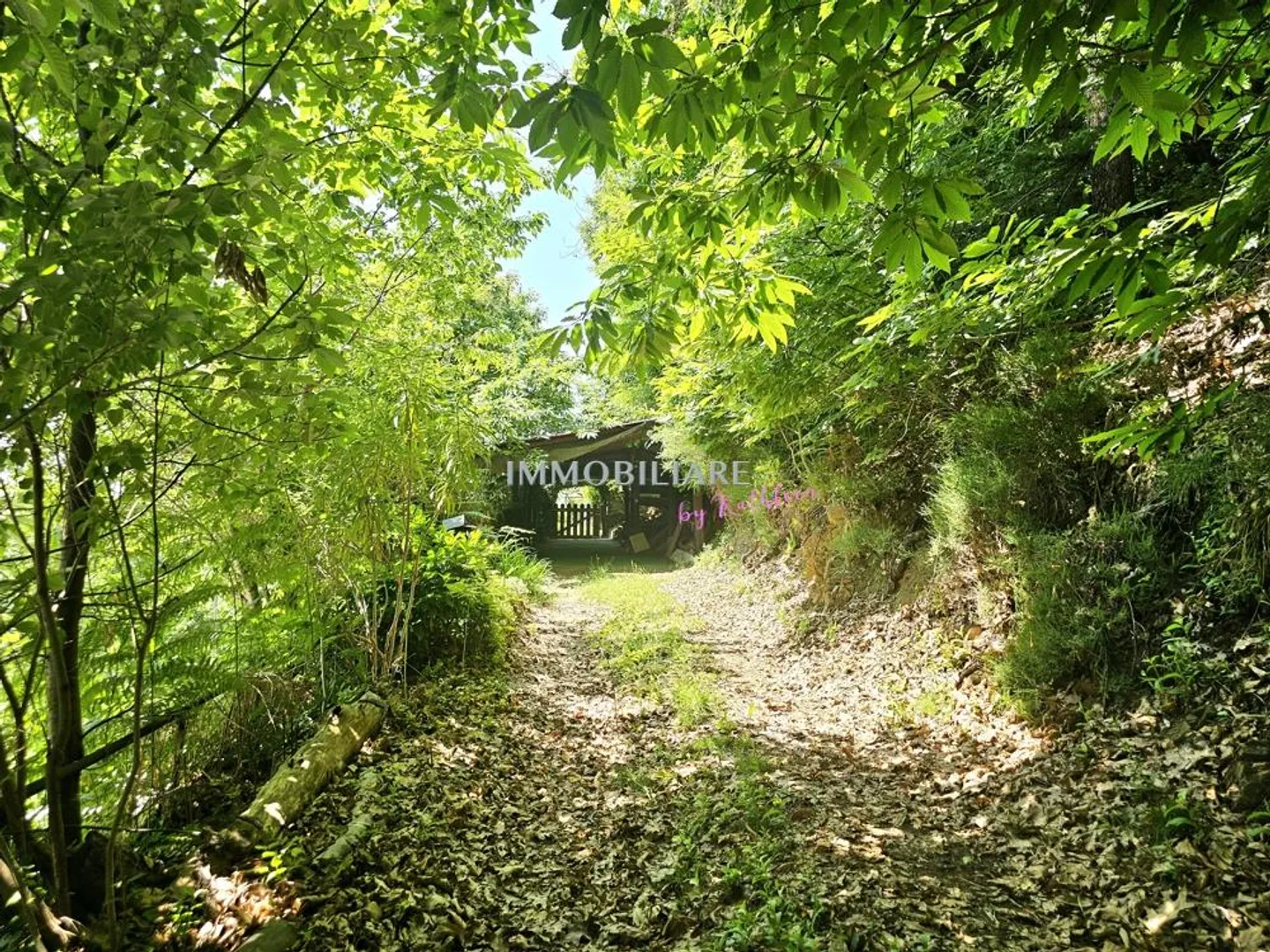 Casa di vacanza nel Malcantone, con vista panoramica, soleggiata, da ristrutturare - Foto 19 di 21