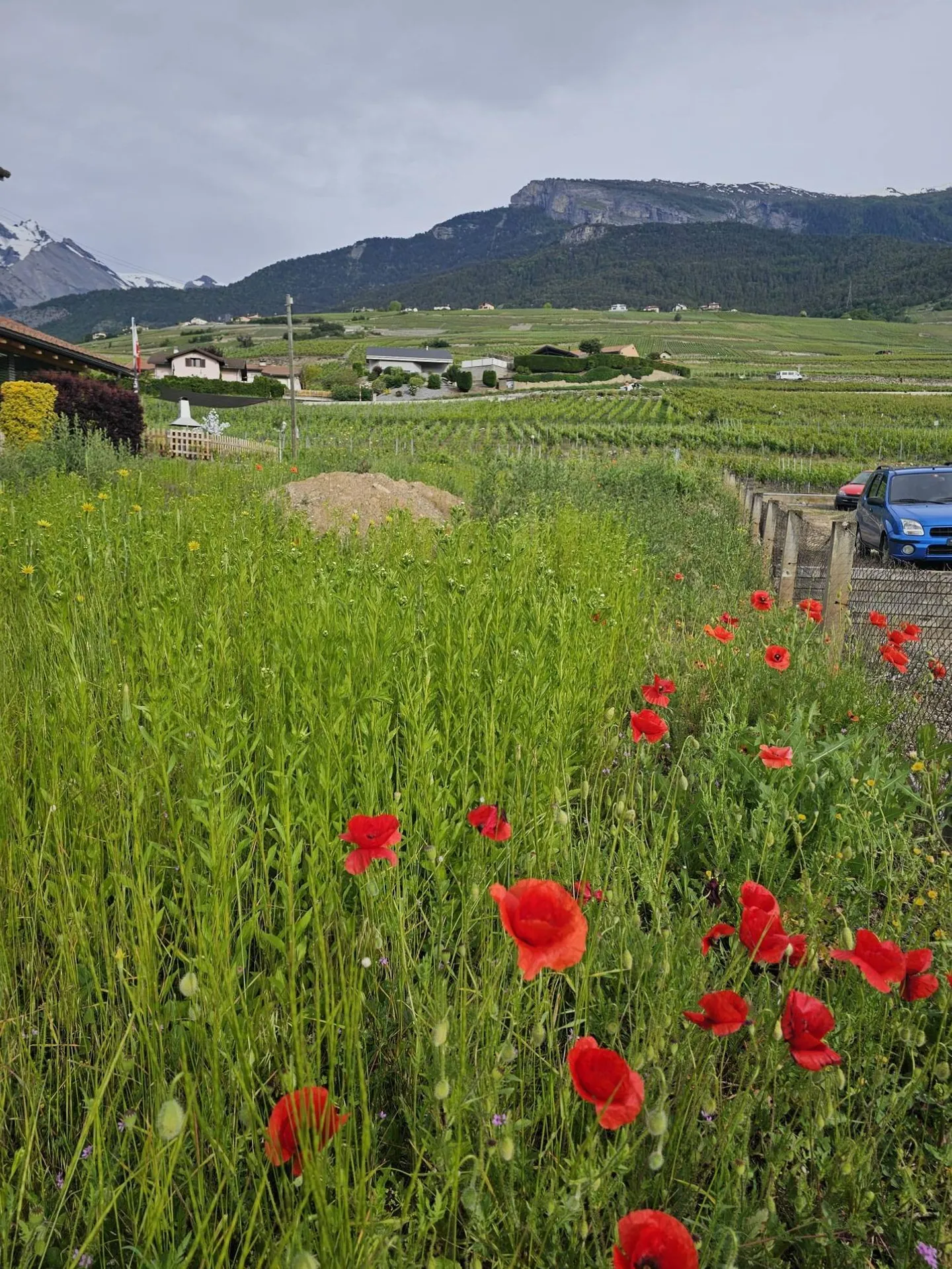 Edificio di rendimento - 4 x 2.5 stanze - Foto 2 di 7