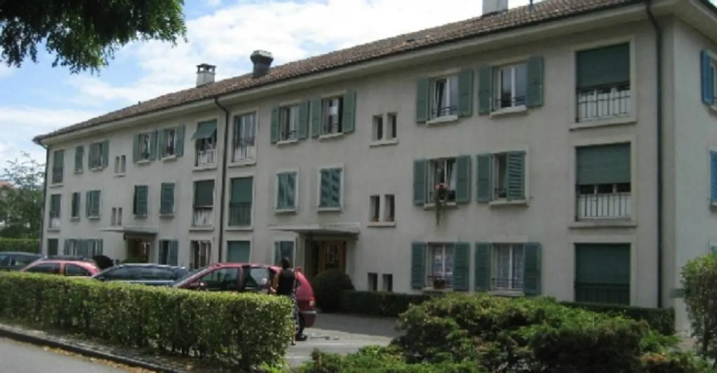 Einlage - Foto 2 von 2