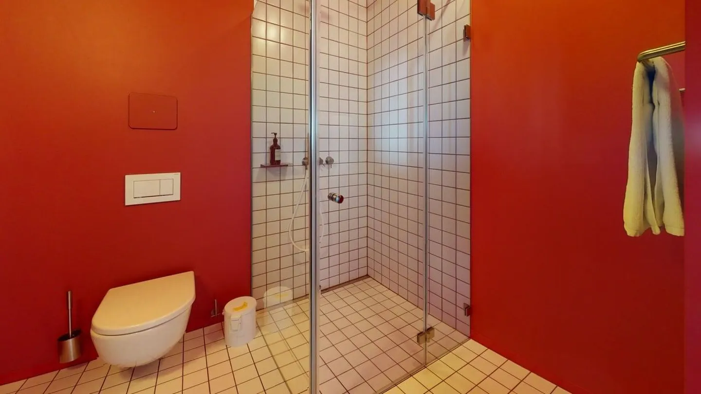 Vivre directement sur le Rhin (Vallée de St. Alban) - Photo 6 sur 11