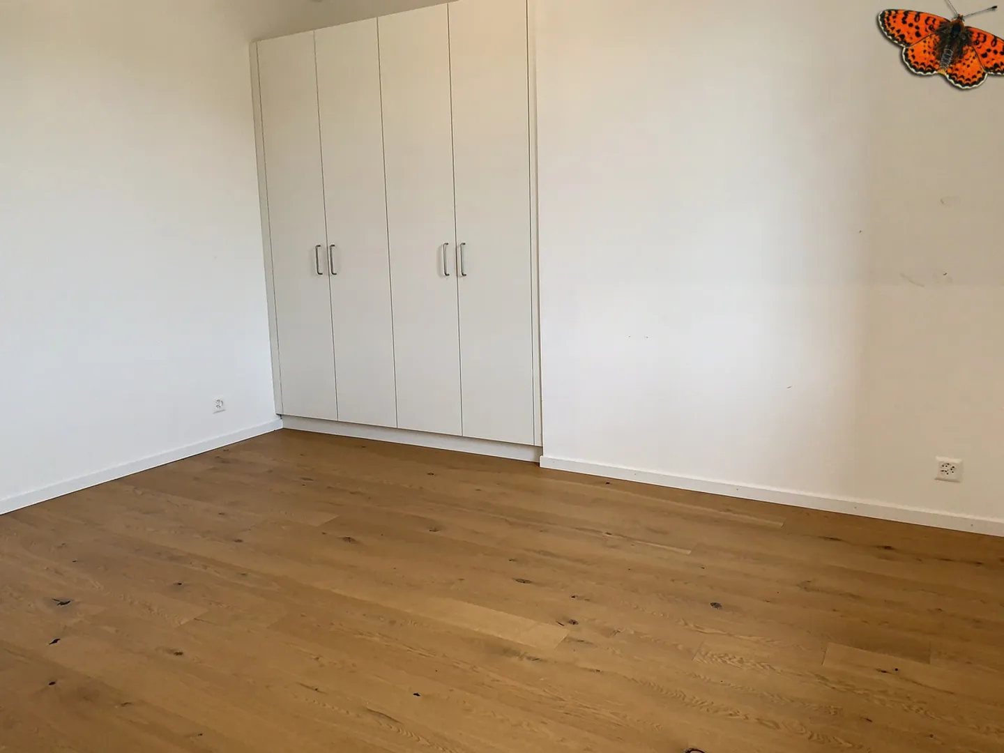 2-Zimmer-Wohnung - Foto 3 von 13
