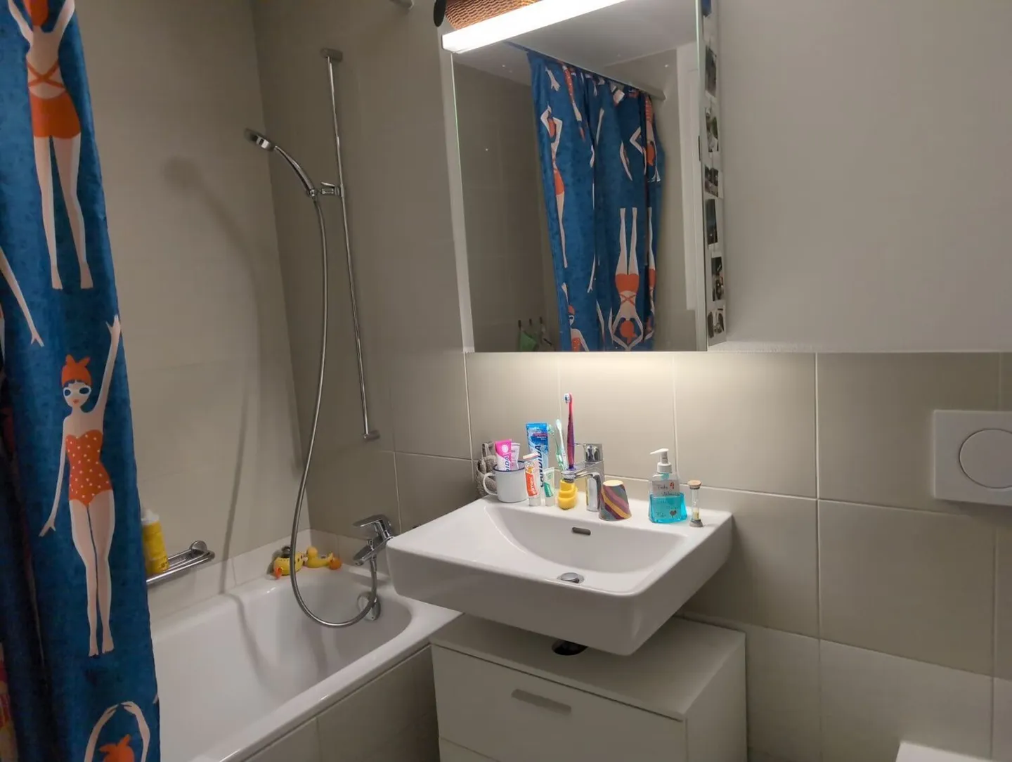 Spacious Apartment with Terraces - Photo 8 of 8