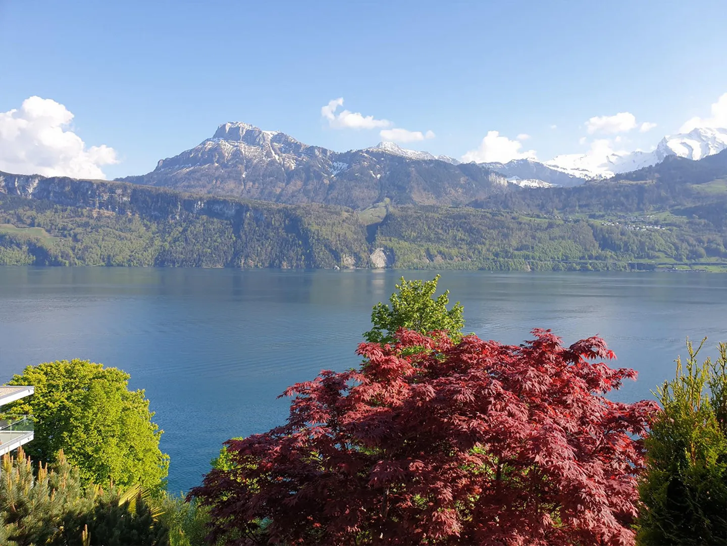 Casa con vista lago a Gersau - Foto 6 di 6