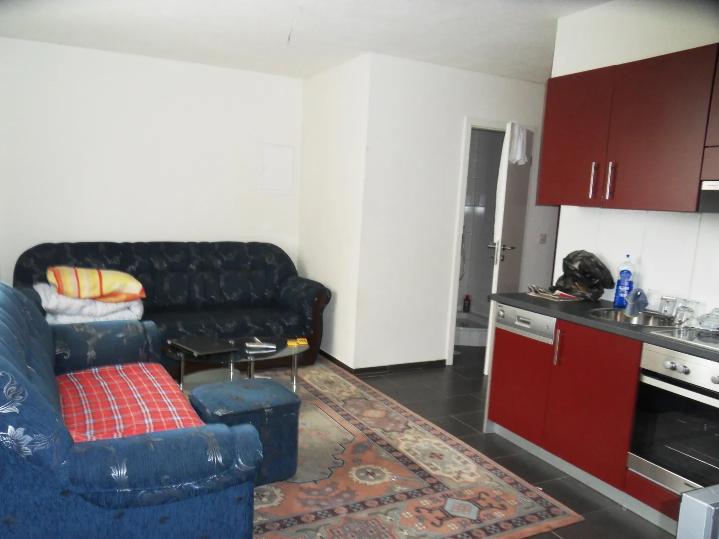 Charming Apartment in Islikon - Photo 3 of 7