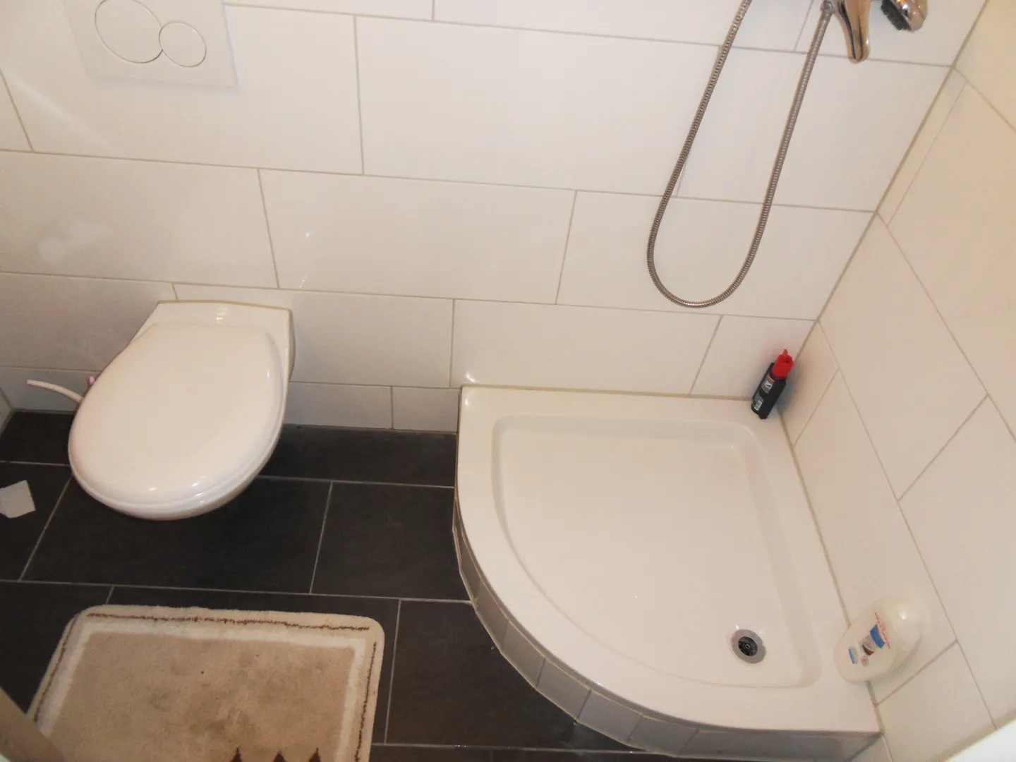 Charming Apartment in Islikon - Photo 7 of 7