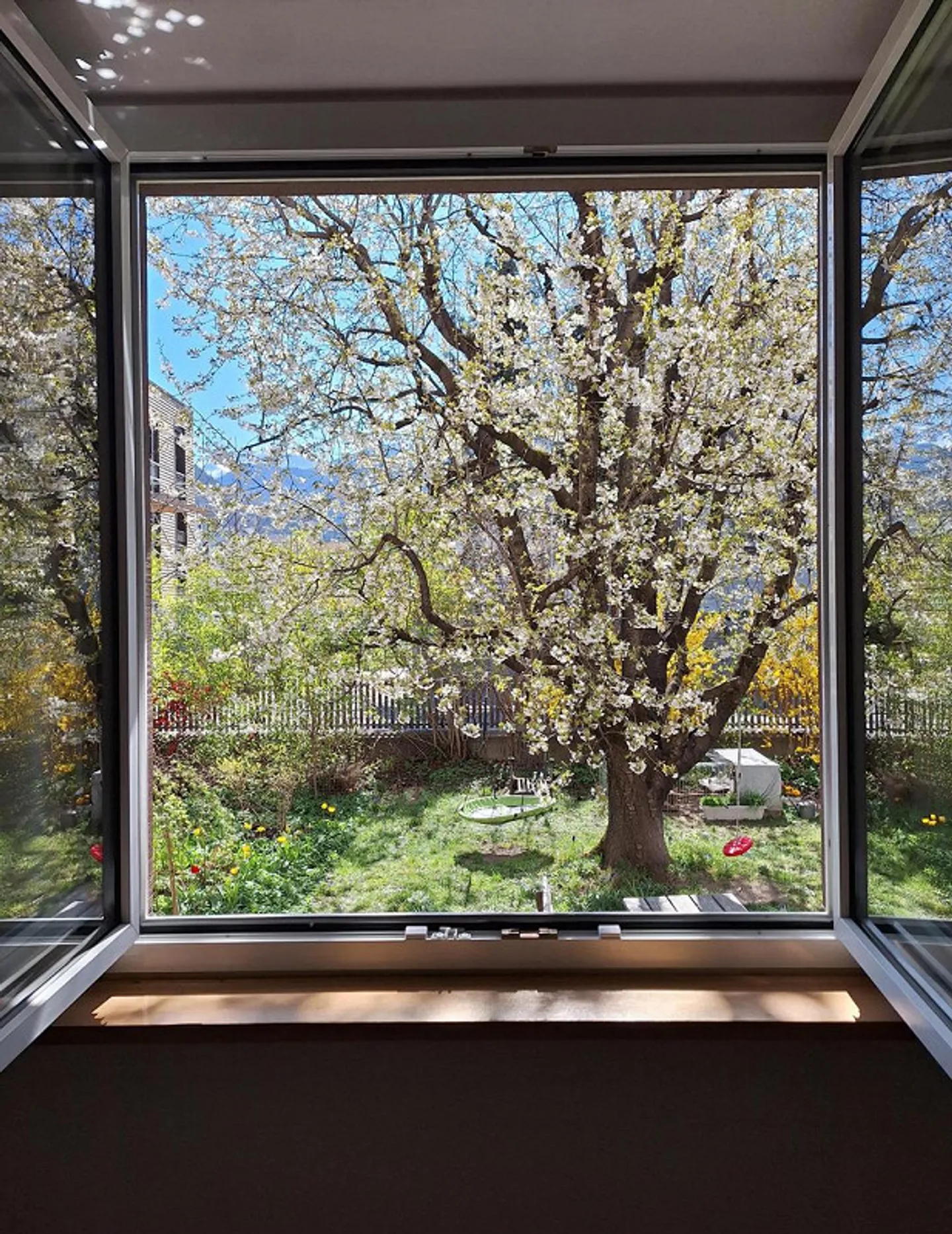 Appartement central dans un ancien bâtiment (terme limité) - Photo 10 sur 12
