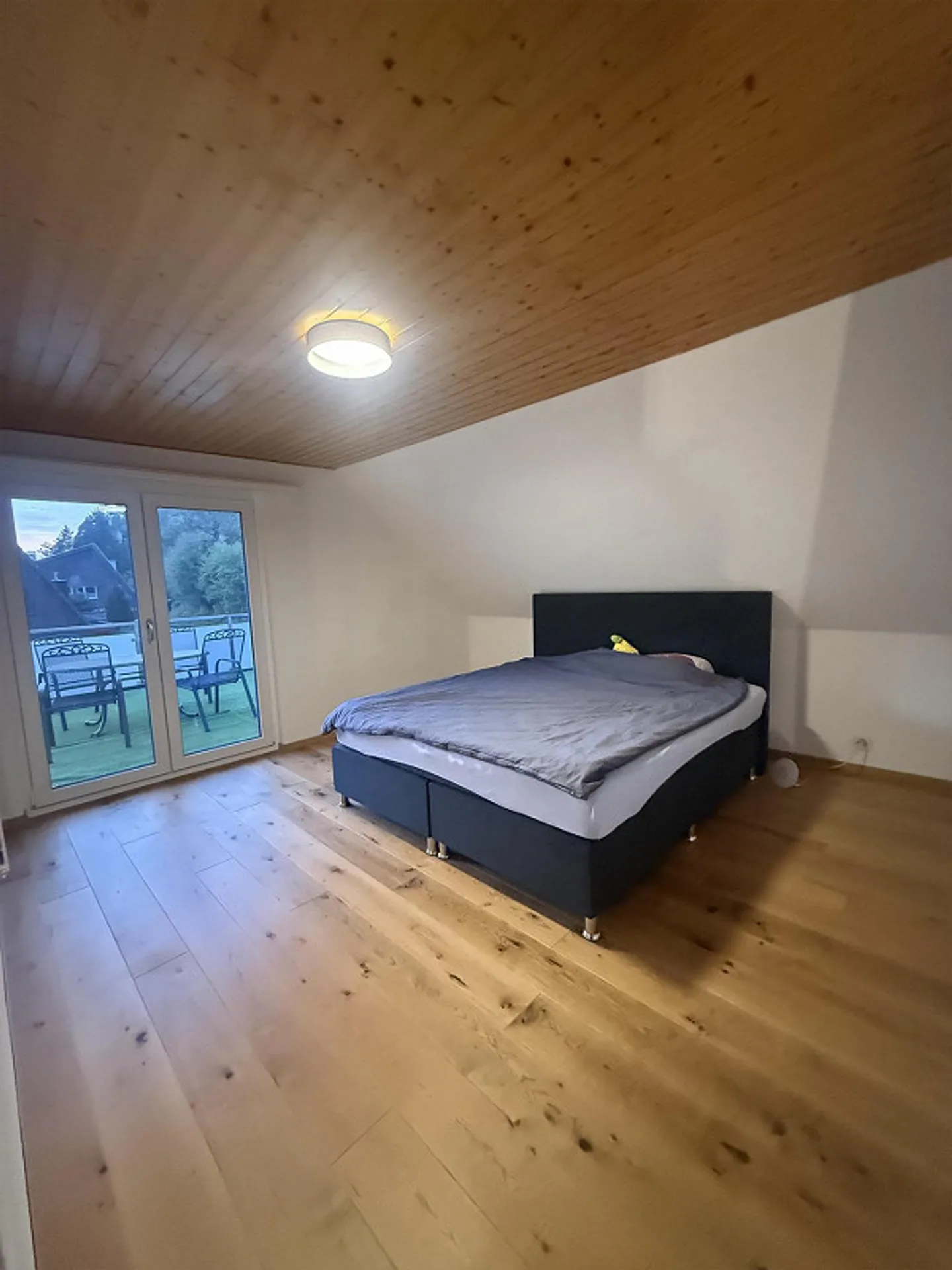 Appartamento esclusivo di 5,5 stanze con galleria e terrazza a Tecknau - Foto 6 di 11