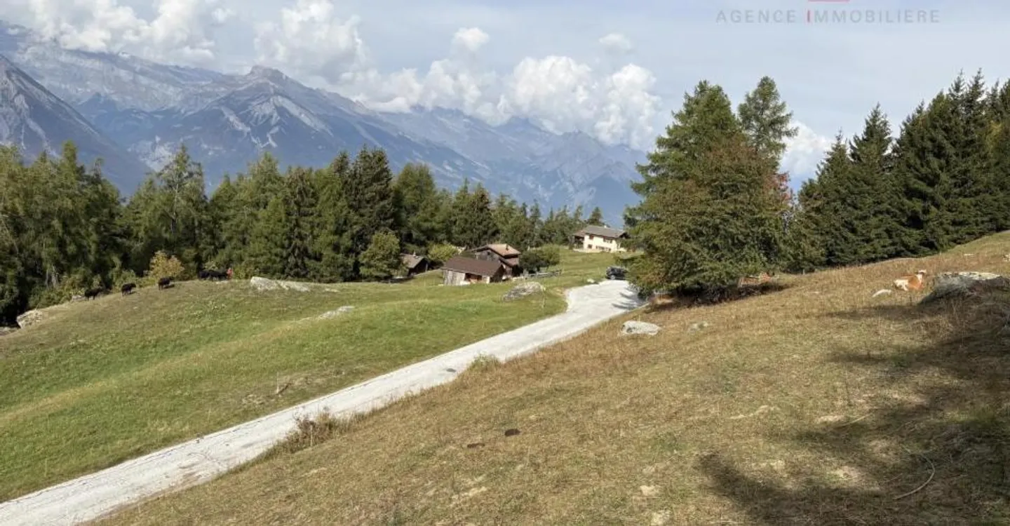 Terrain Privilégié à Haute-Nendaz - Photo 1 sur 5