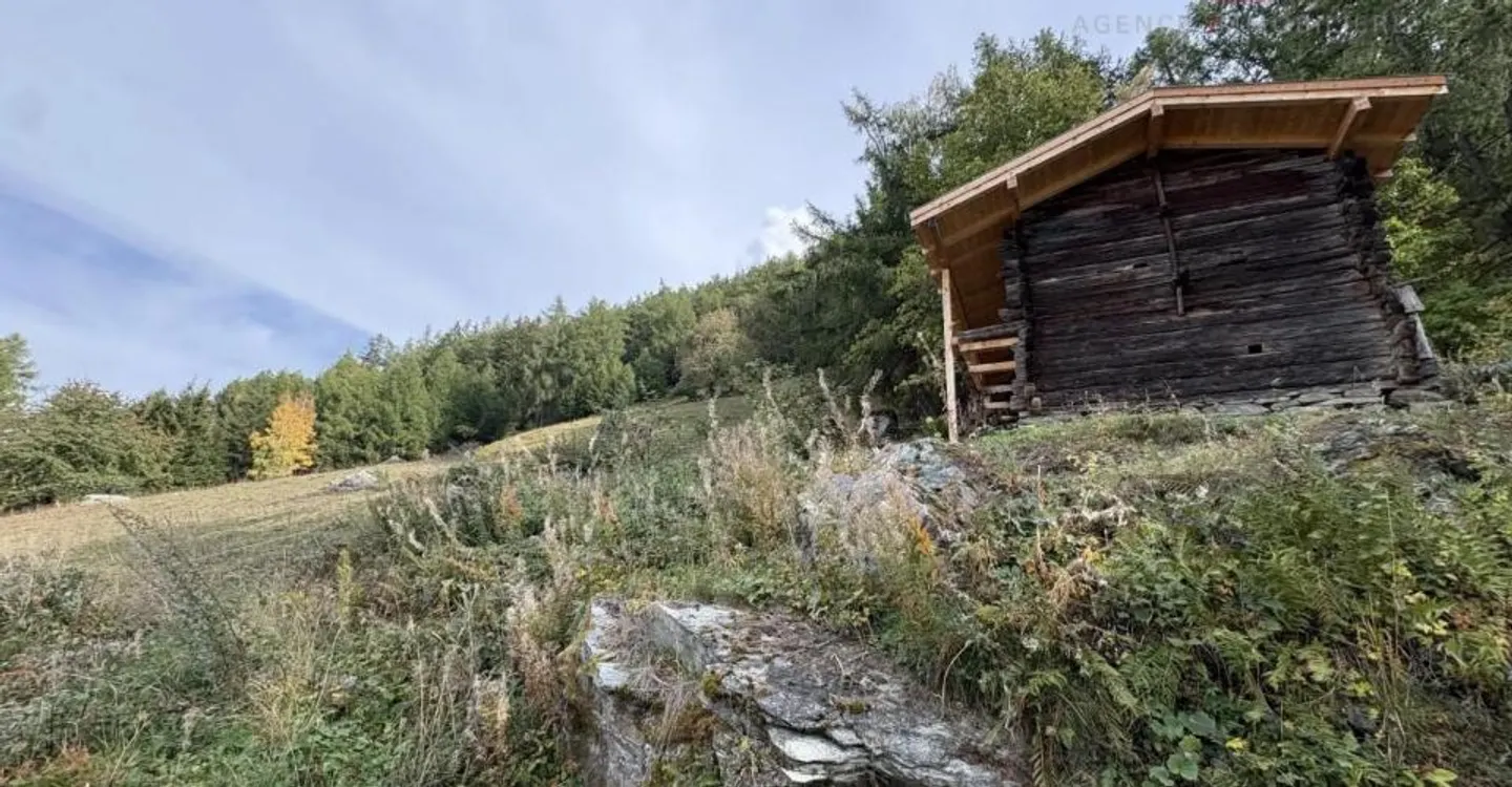 Terrain Privilégié à Haute-Nendaz - Photo 2 sur 5