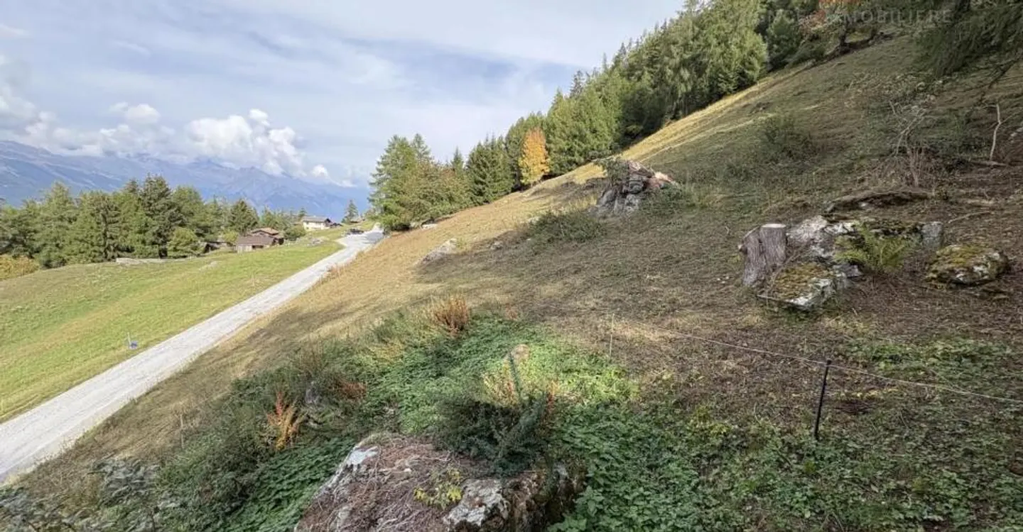 Terrain Privilégié à Haute-Nendaz - Photo 3 sur 5