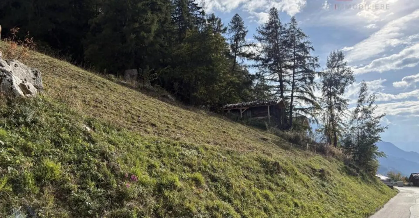 Terrain Privilégié à Haute-Nendaz - Photo 5 sur 5