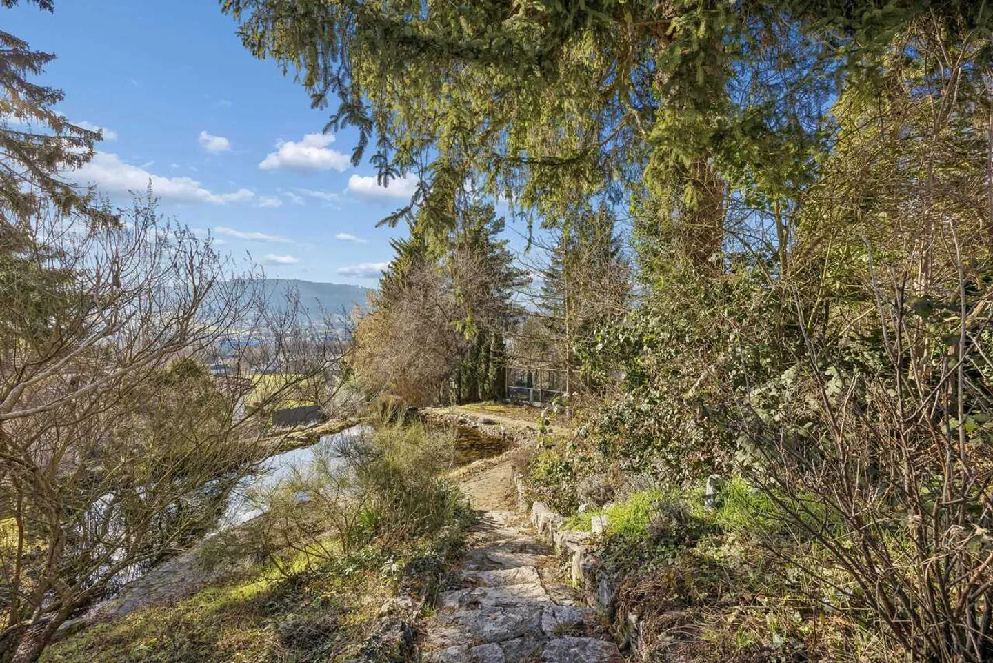 Art Nouveau Villa in Reinach with exceptional park garden - Photo 11 of 13