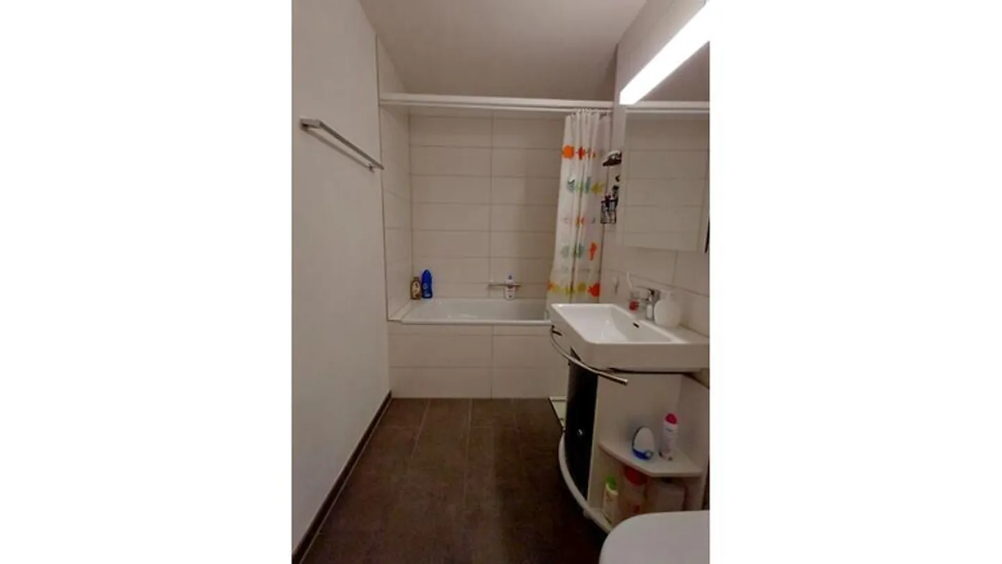 APPARTAMENTO 3½ LOCALI A SCHÖNENWERD (SO), ARREDATO - Foto 7 di 9