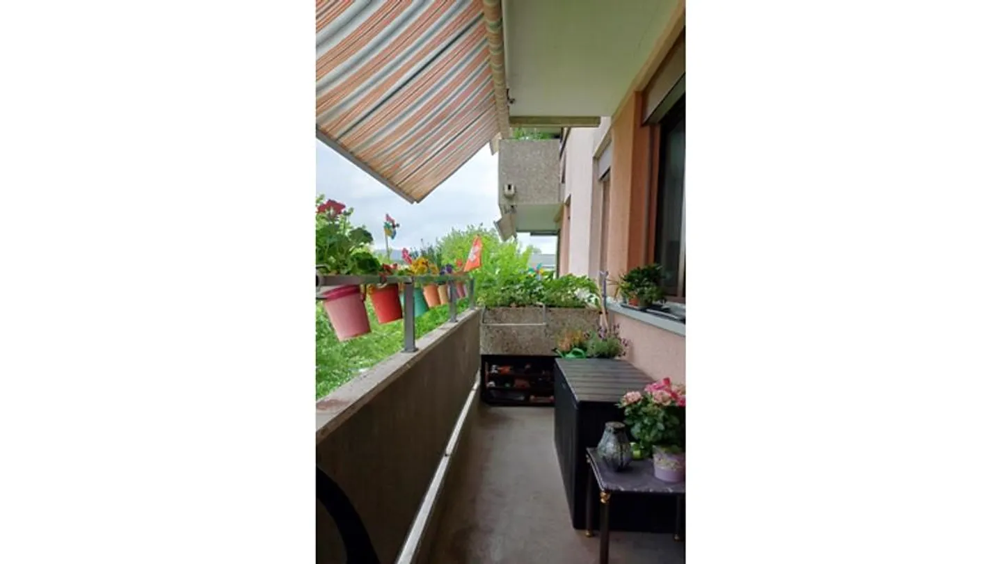 APPARTAMENTO 3½ LOCALI A SCHÖNENWERD (SO), ARREDATO - Foto 8 di 9