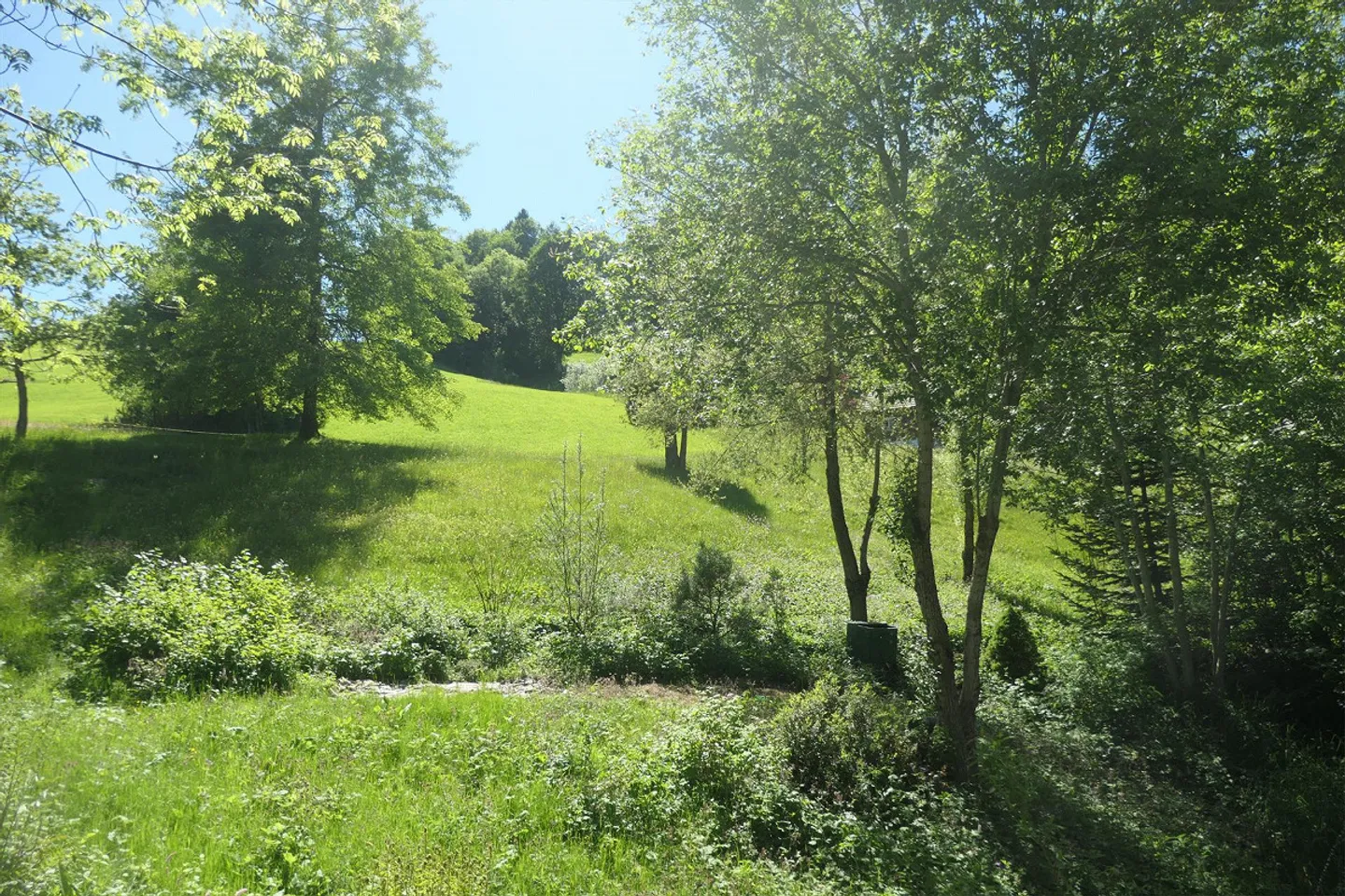 Casa unifamiliare/casa vacanze accogliente - Relax in mezzo alla natura - Foto 3 di 10