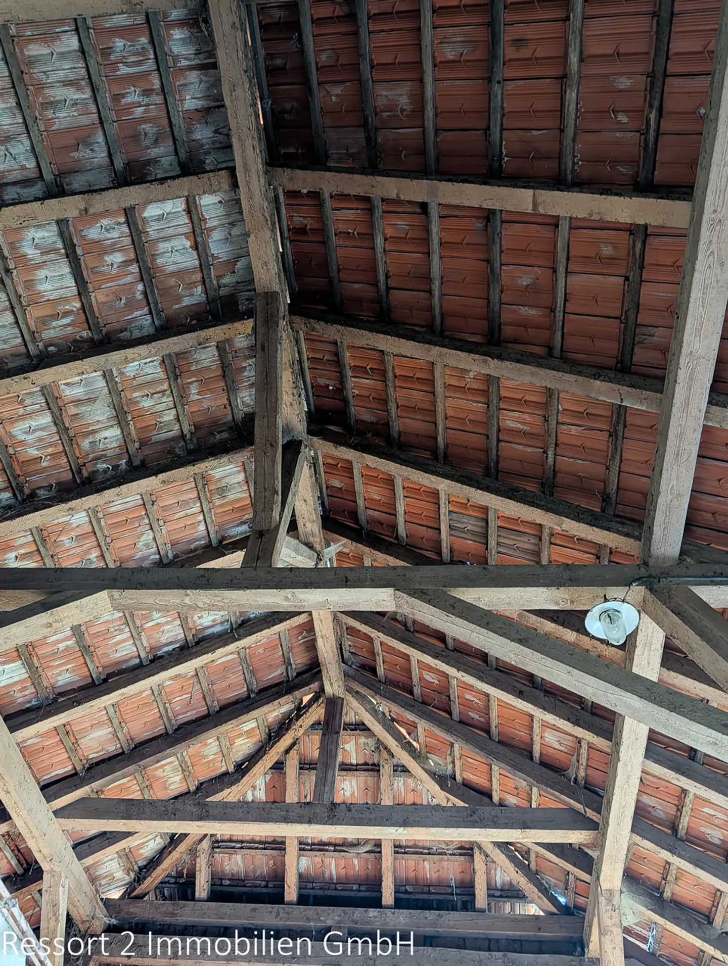 Charming Renovation Project House - Photo 15 of 19