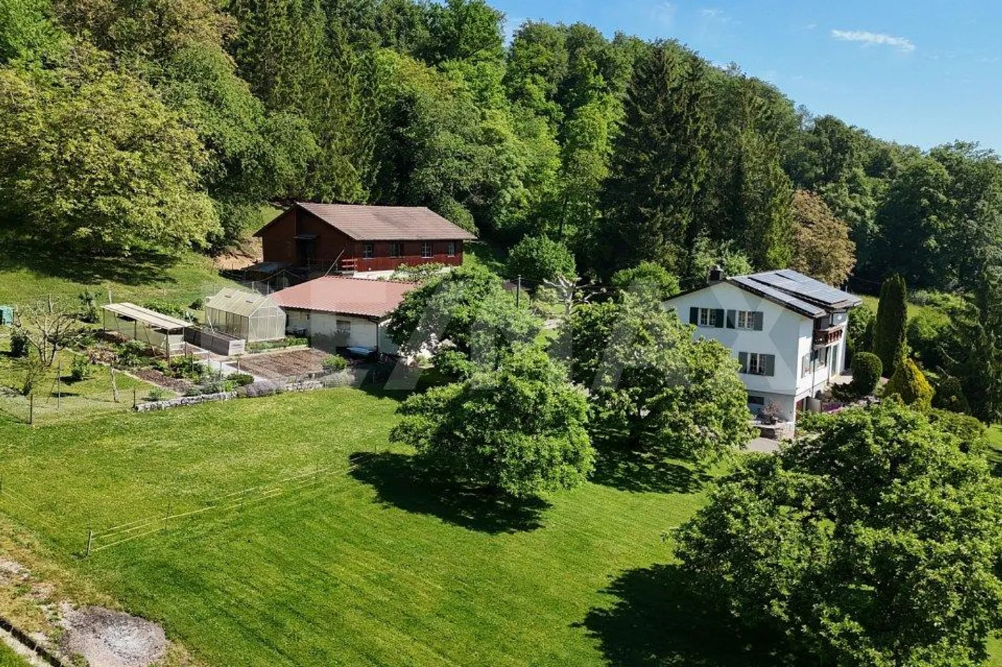 5.933 m² in armonia con la natura, autonomo, libero e indisturbato – Il tuo personale... - Foto 3 di 13
