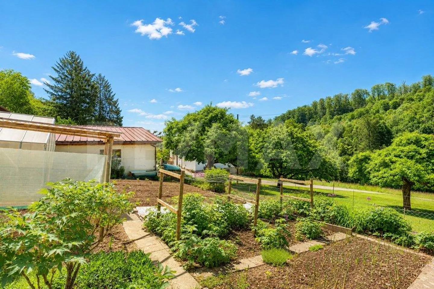 5.933 m² in armonia con la natura, autonomo, libero e indisturbato – Il tuo personale... - Foto 5 di 13