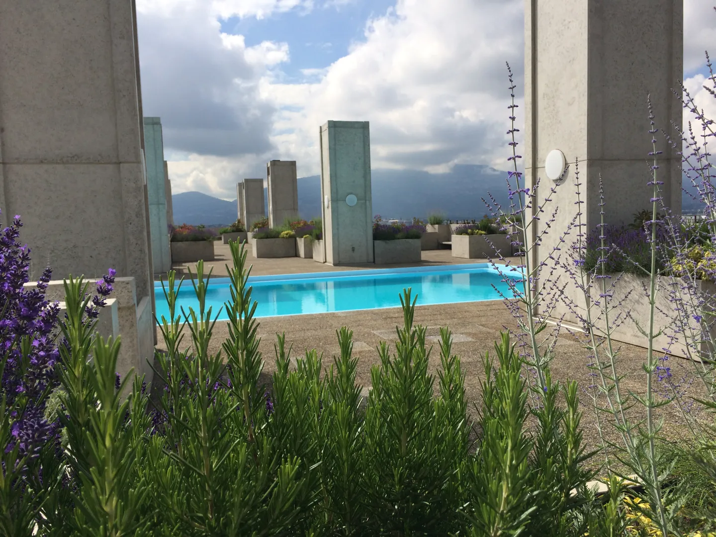 Appartamento in affitto - Foto 8 di 8