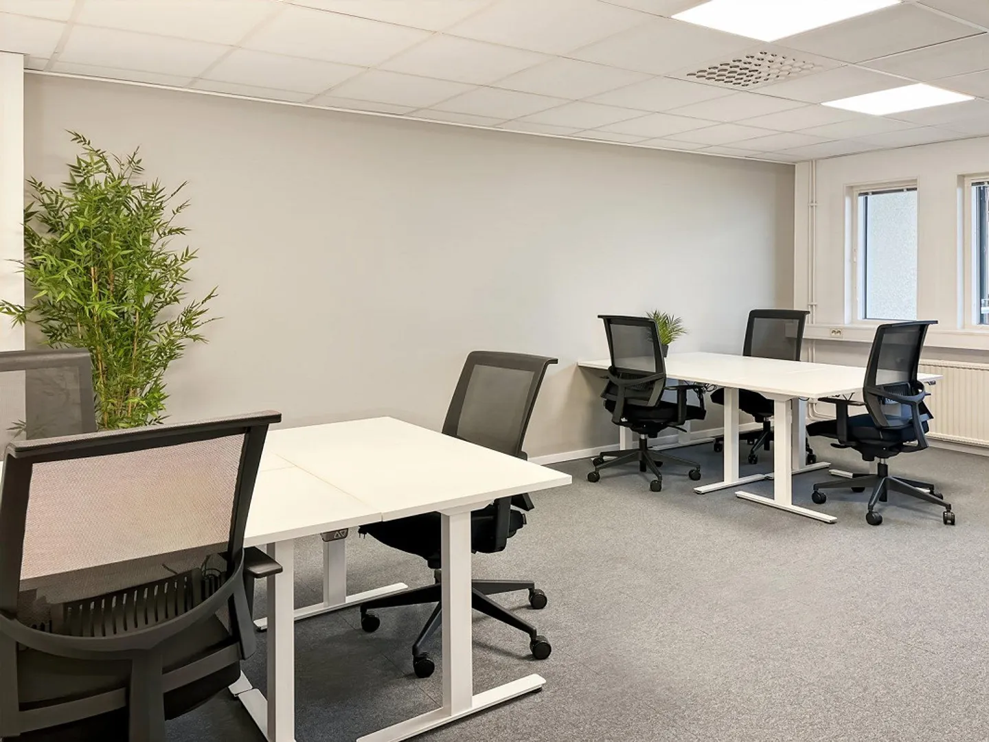 Flexibles Büro für 30 Personen - Foto 1 von 11
