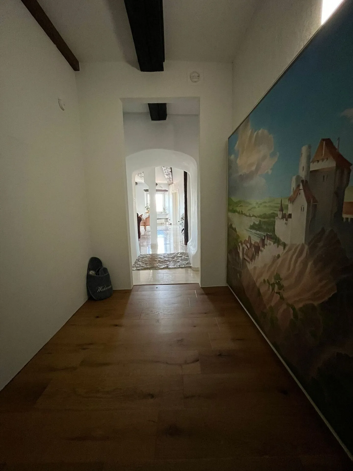 APPARTAMENTO 4½ STANZE A MÜNCHENSTEIN (BL), ARREDATO, TEMPORANEO - Foto 9 di 10