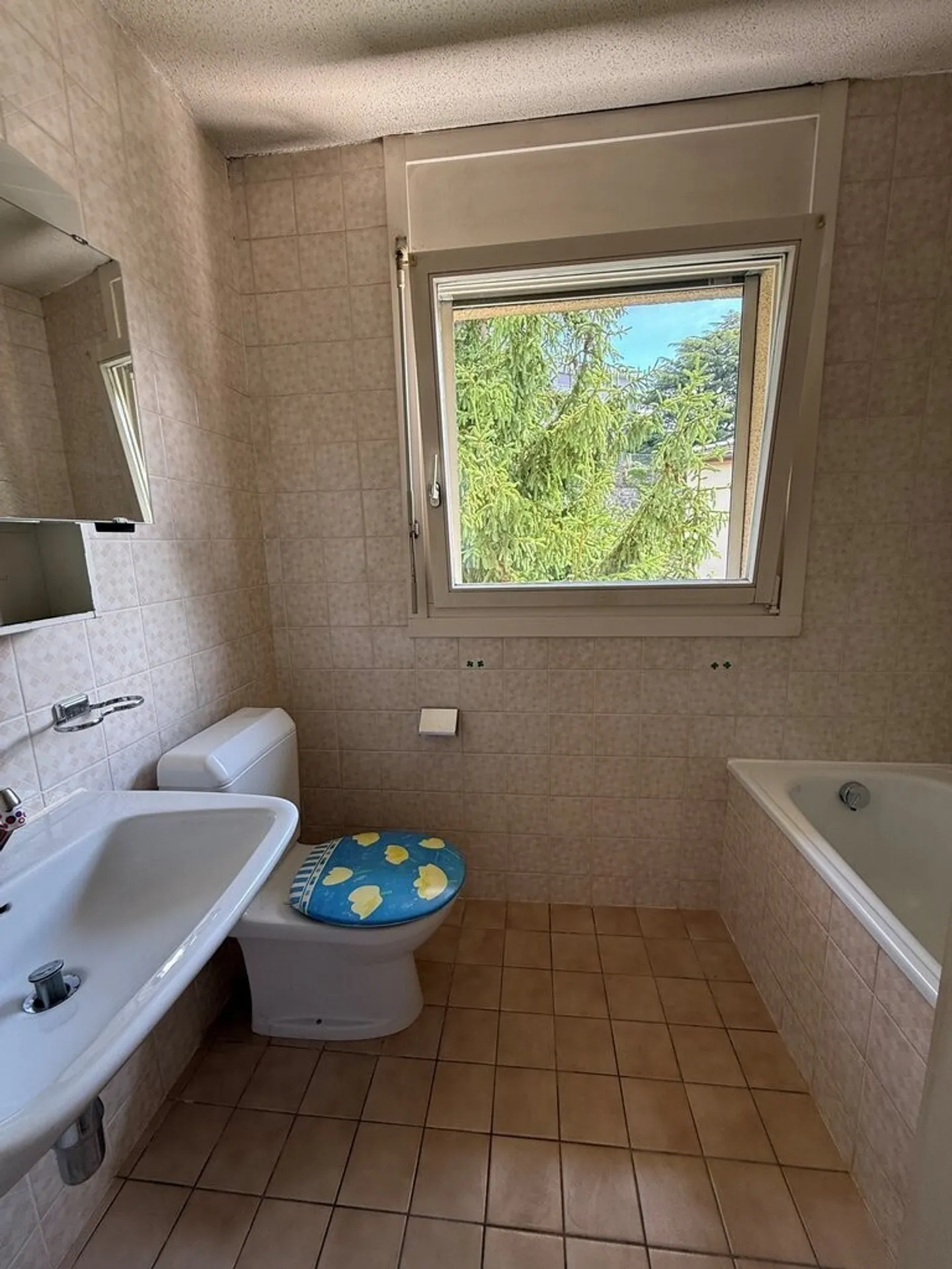 To seize! Superb accommodation in a quiet area of Lausanne! - Photo 7 of 8