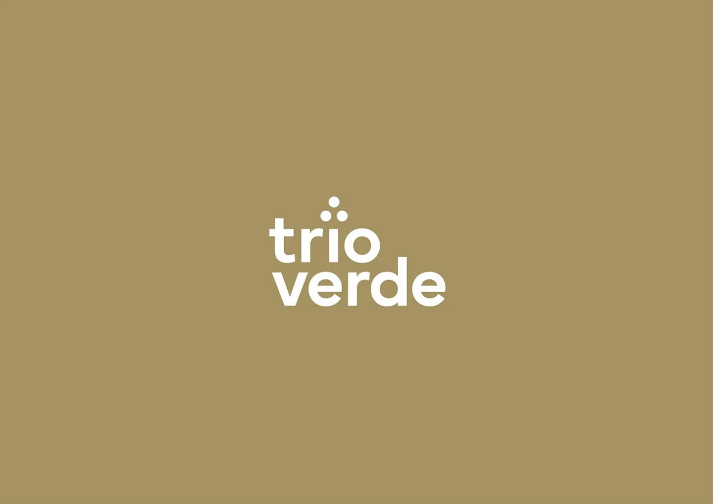 "TRIO VERDE" - a home with identity. - Photo 15 of 15