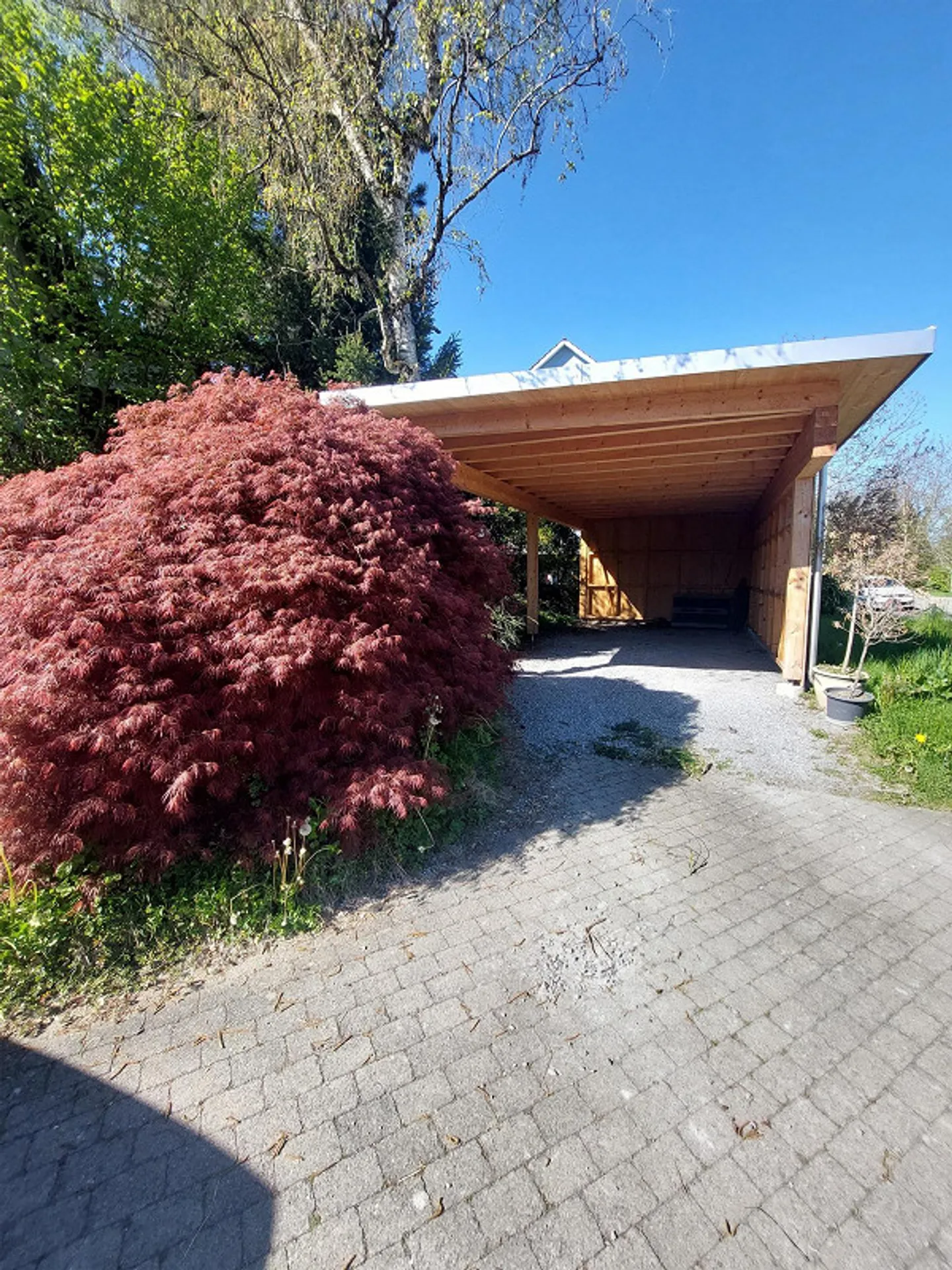 Large 6.5 Room House - Photo 2 of 17