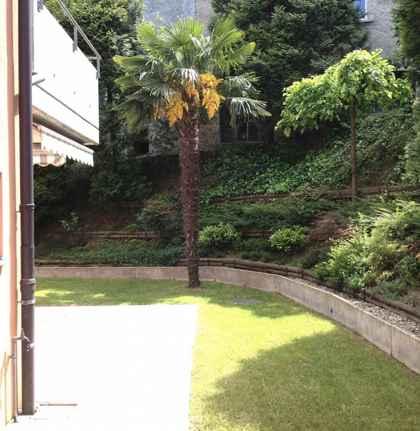 Appartamento di 3.5 locali, giardino e cantina collegata internamente - Foto 1 di 11