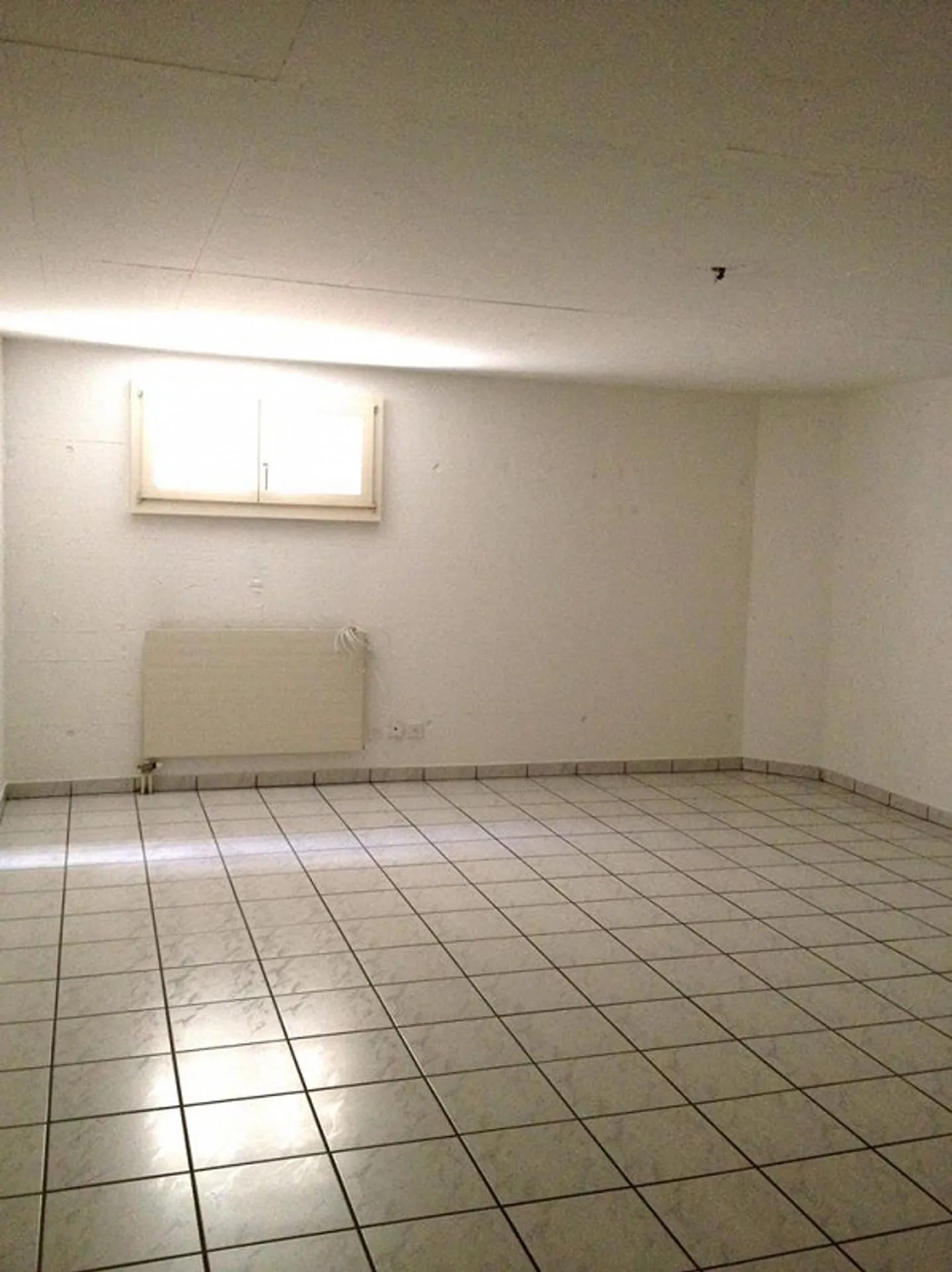 Appartamento di 3.5 locali, giardino e cantina collegata internamente - Foto 10 di 11