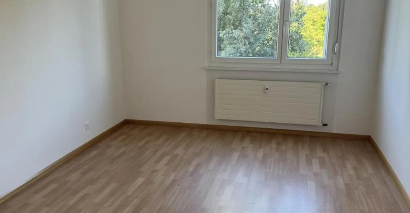 Beautiful rooftop apartment in Riehen - Photo 3 of 6