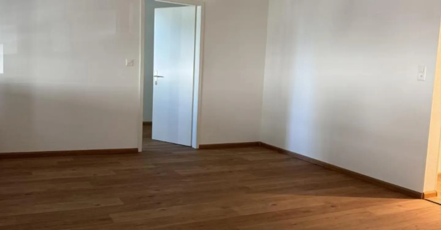 Beautiful rooftop apartment in Riehen - Photo 4 of 6