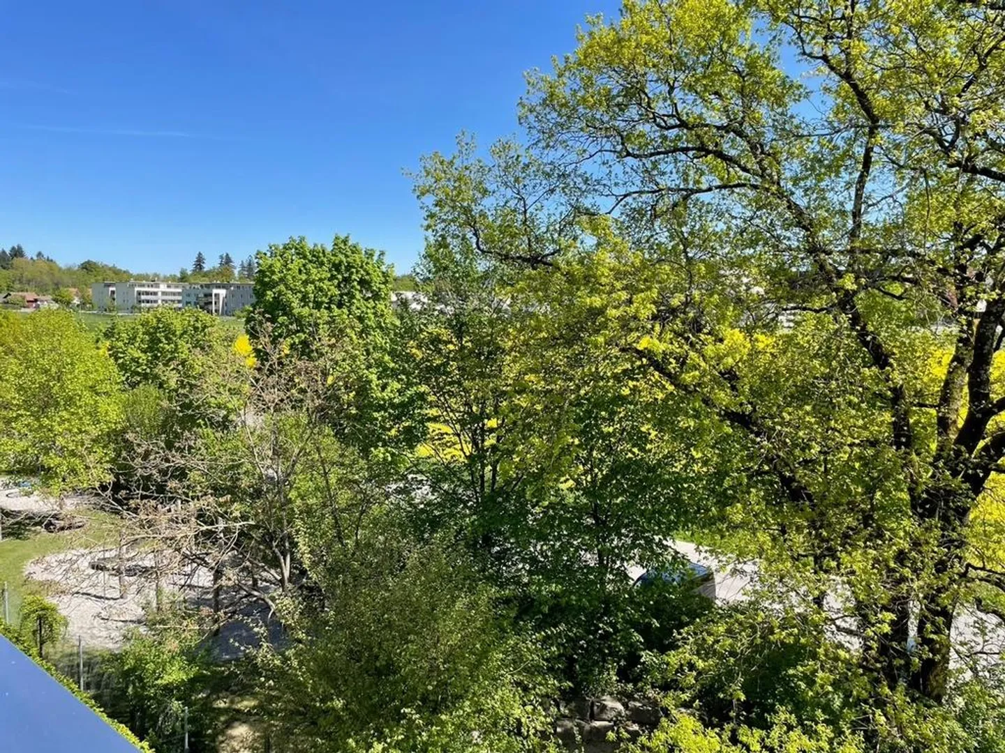 3.5 Room Apartment - Photo 8 of 8