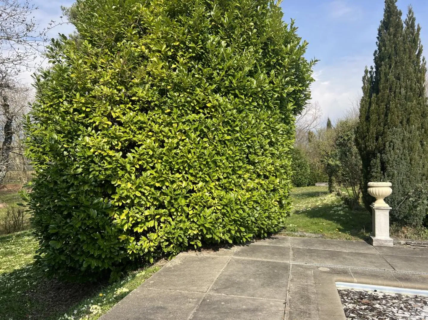 Villa - Foto 1 di 1