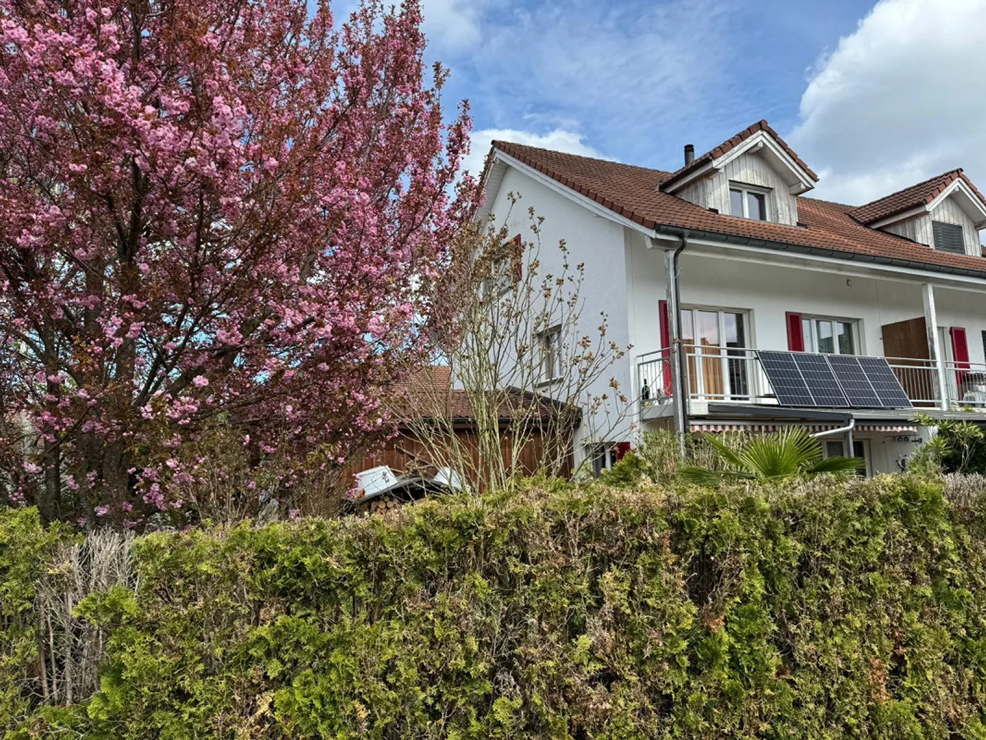 Modern 5.5-room single-family house in Pfyn TG – renovated, sunny ... - Photo 6 of 12