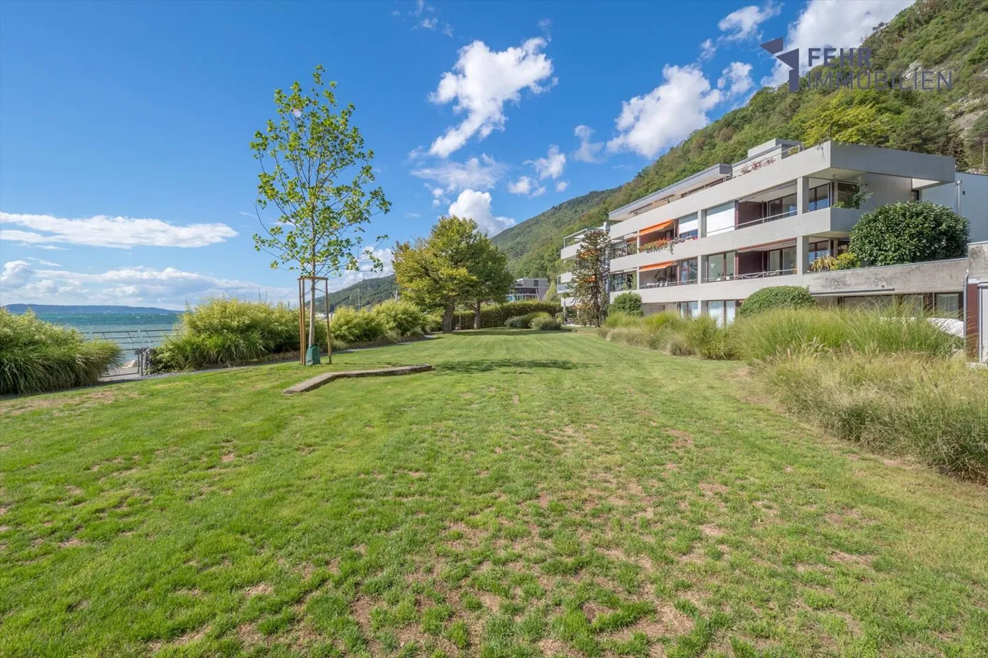 2.5 Room Apartment - Photo 10 of 11