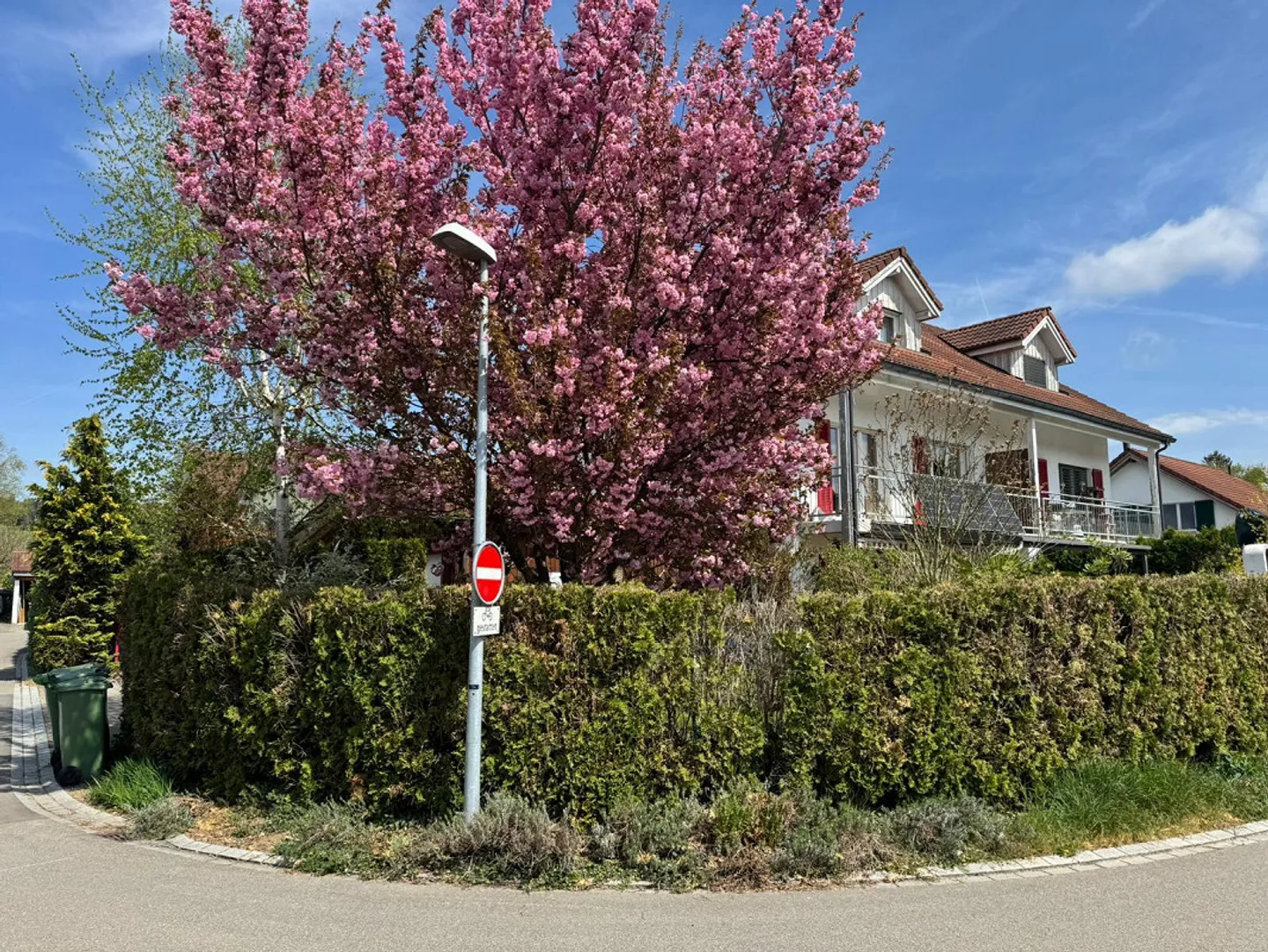 Modern 5.5-room single-family house in Pfyn TG – renovated, sunny ... - Photo 11 of 12