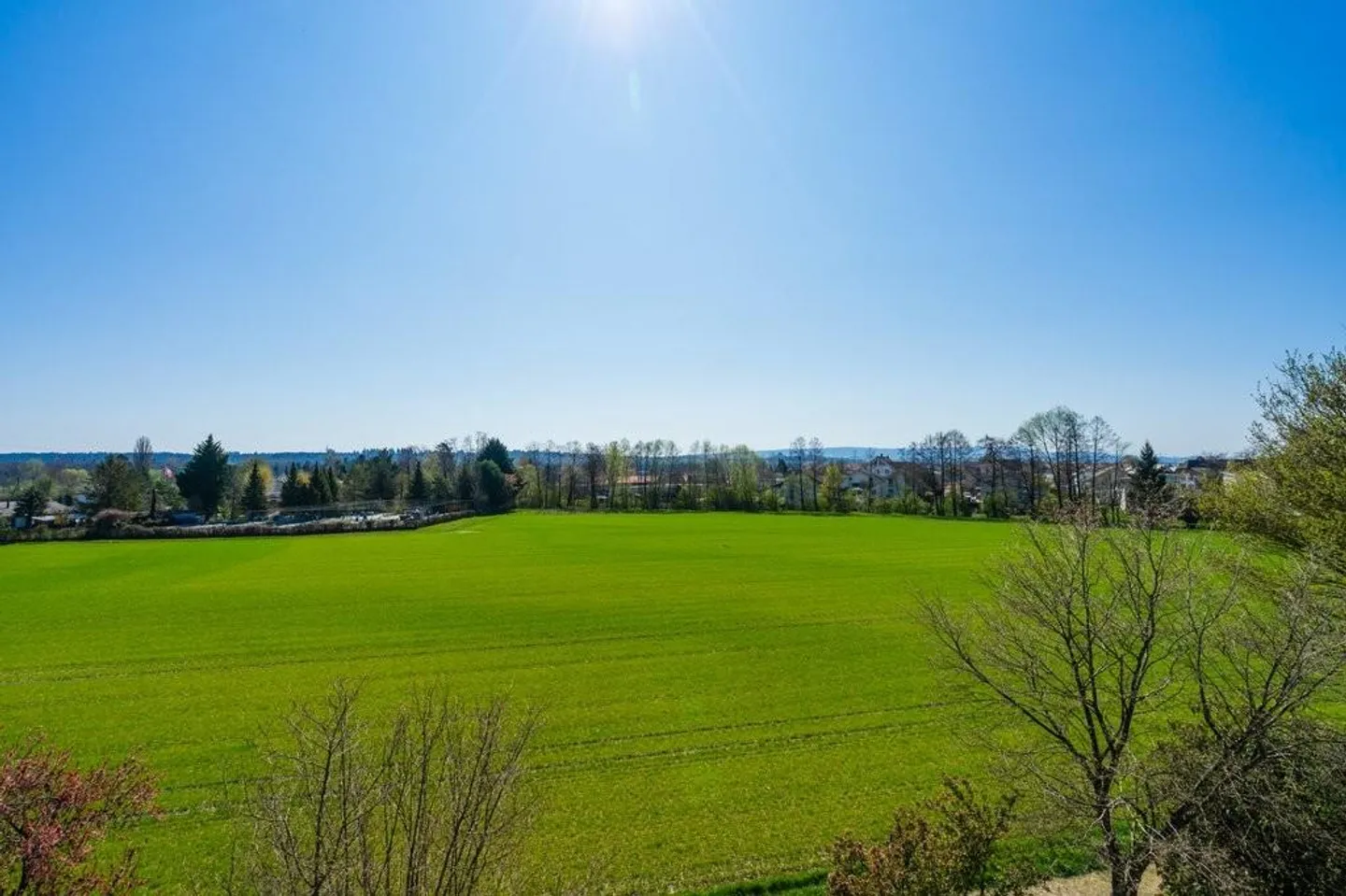 Living at the foot of the Jäissberg: close to nature and well connected - Photo 11 of 12