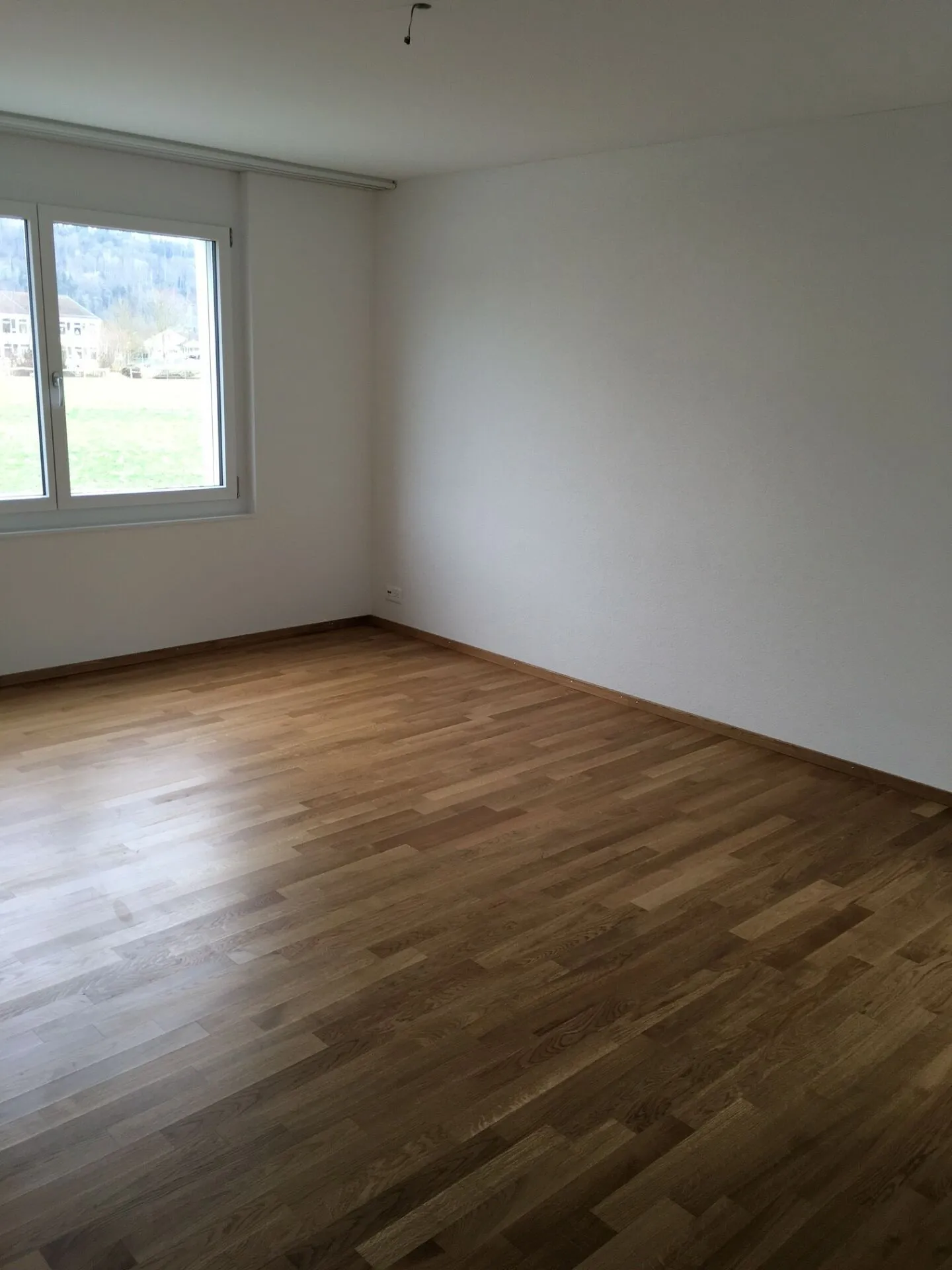 Bright 4.5 Room Apartment - Photo 4 of 8