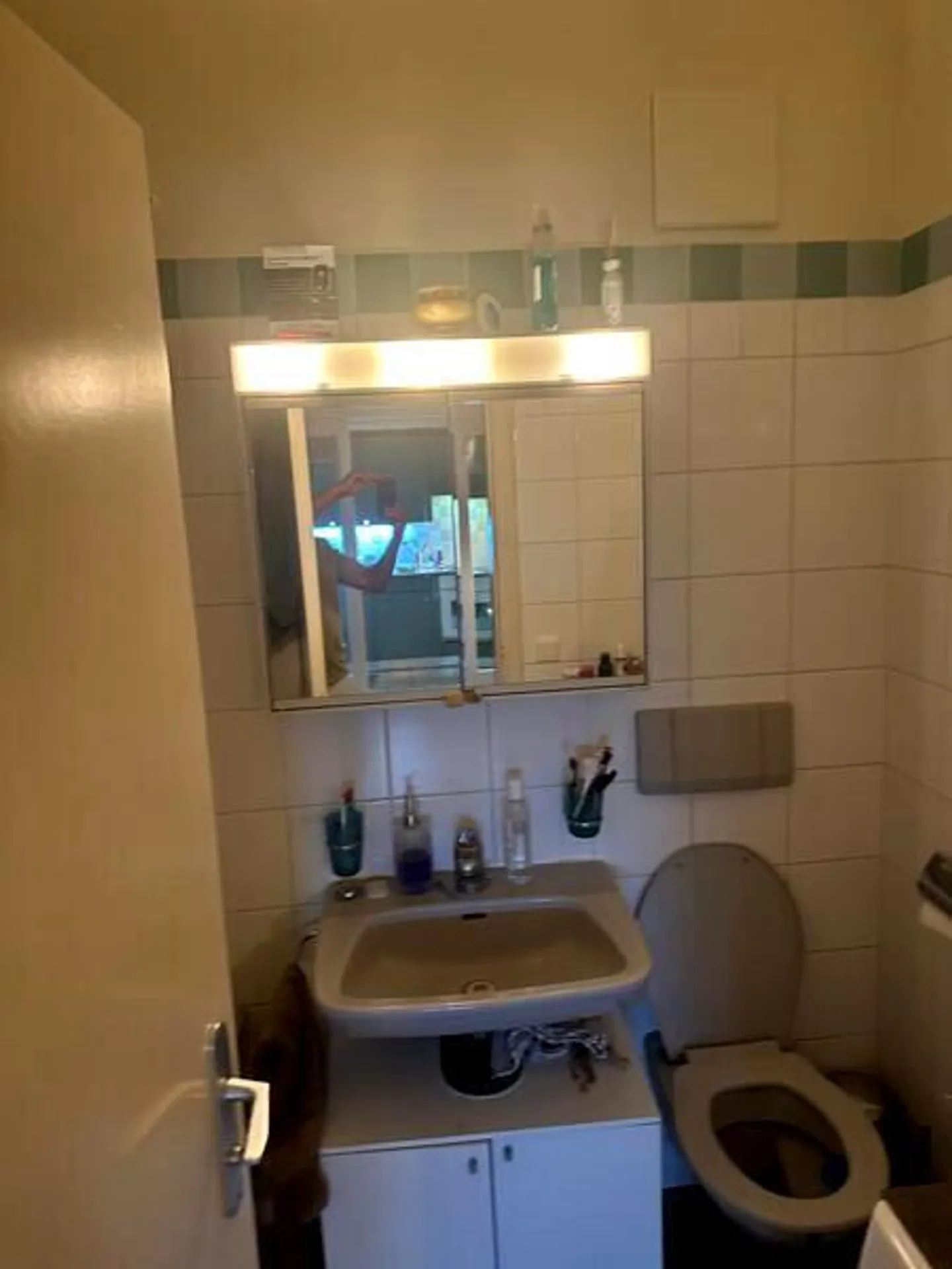 ATTIC APARTMENT 2½ ROOMS IN GENEVA - CENTER, FURNISHED, DURATION DETERMINED - Photo 8 of 9