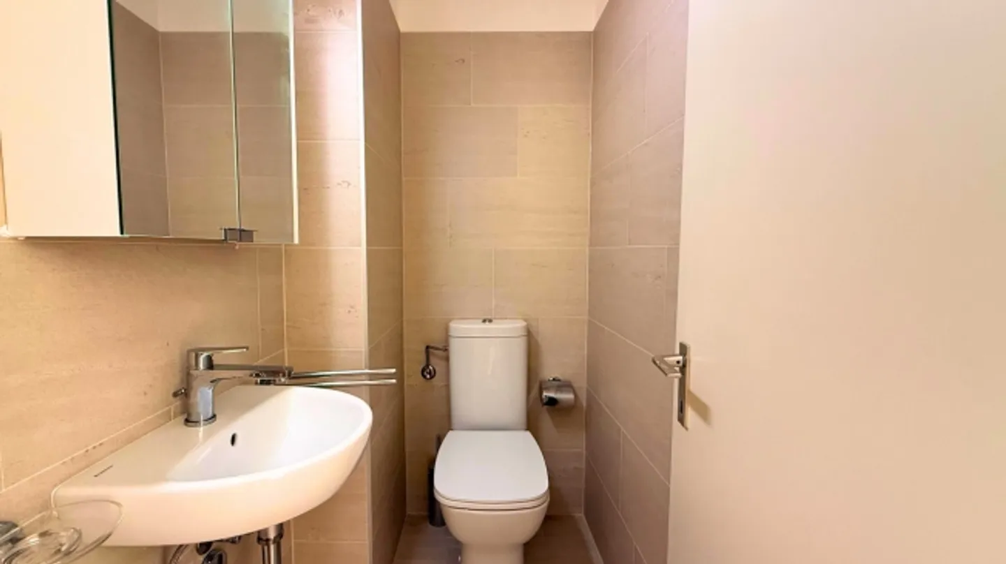 APPARTEMENT LUMINEUX À VIGANELLO - Photo 11 sur 11