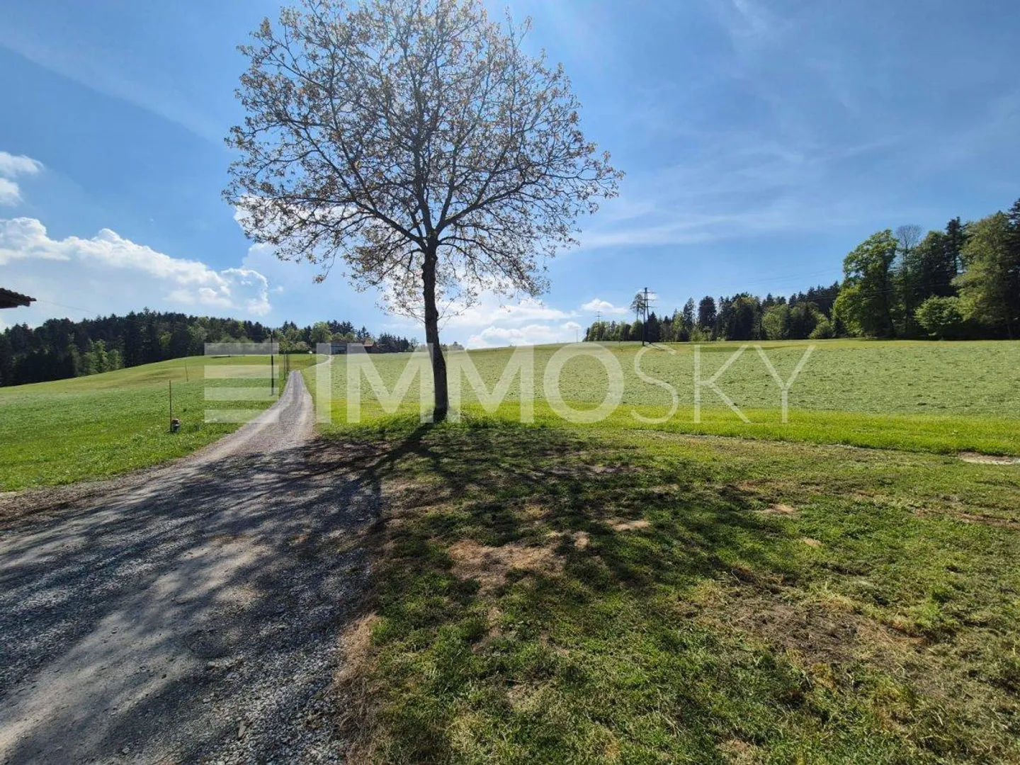 Your private oasis: garden, wood stove, and tranquility combined - Photo 1 of 5