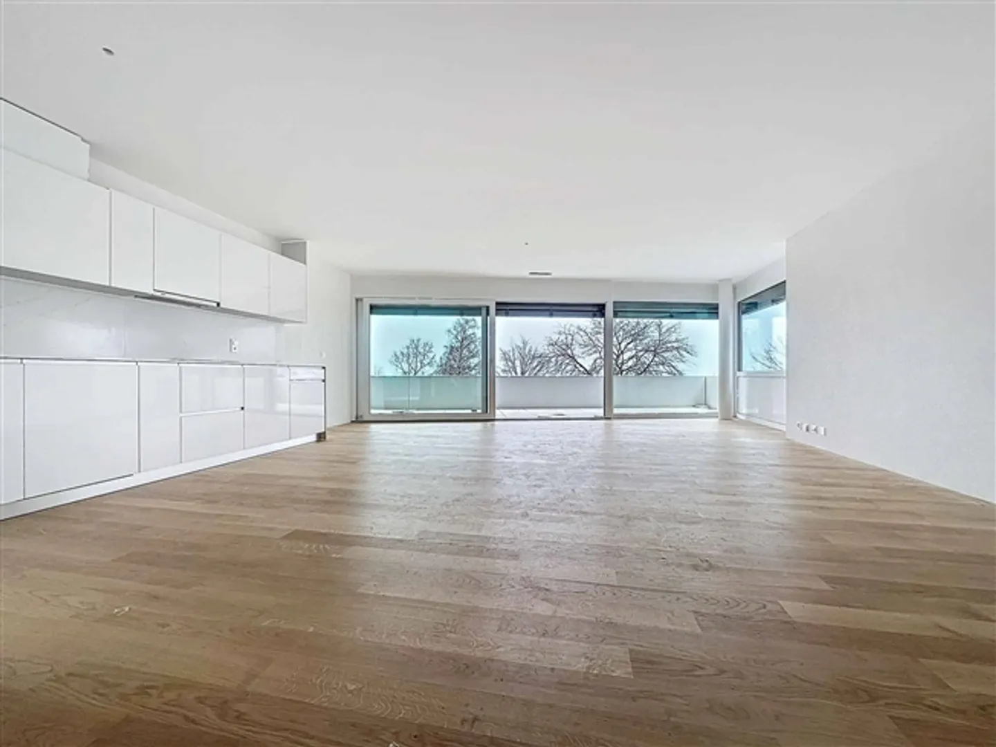 New 3.5 Room Apartment with Terraces and Gardens - Photo 2 of 13
