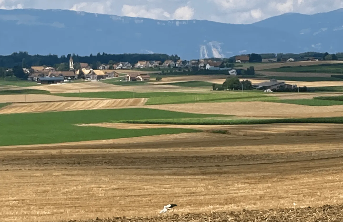 Charmanter Einzelhof mit 5 Zimmern in Poliez-le-Grand - Foto 10 von 10