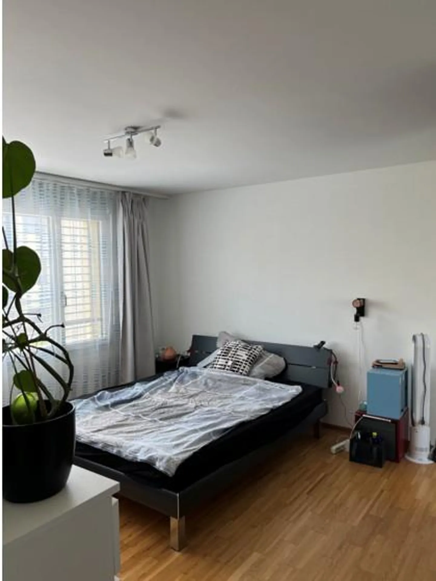 Appartamento moderno 2.5 locali - Foto 2 di 5