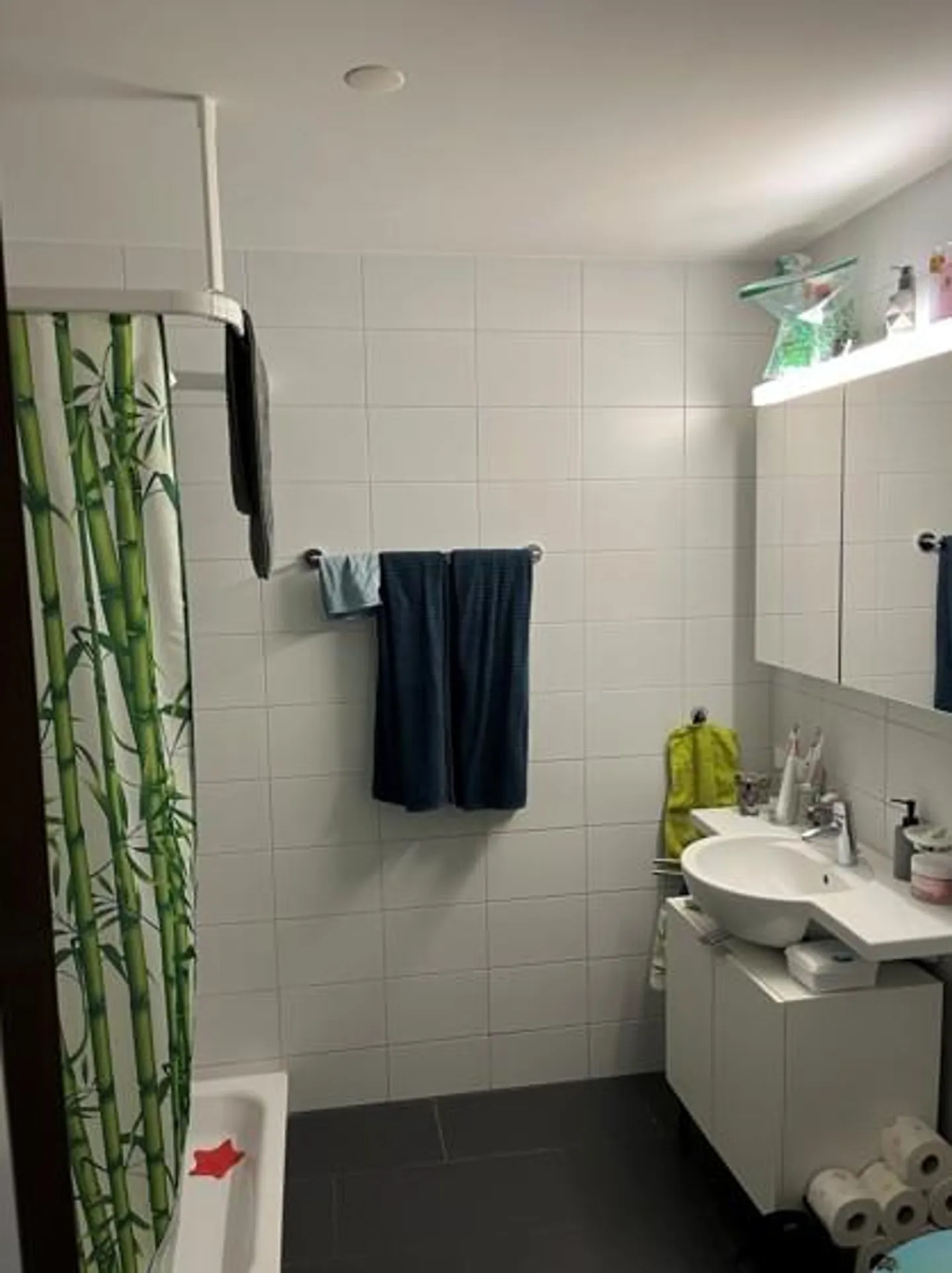 Appartamento moderno 2.5 locali - Foto 4 di 5