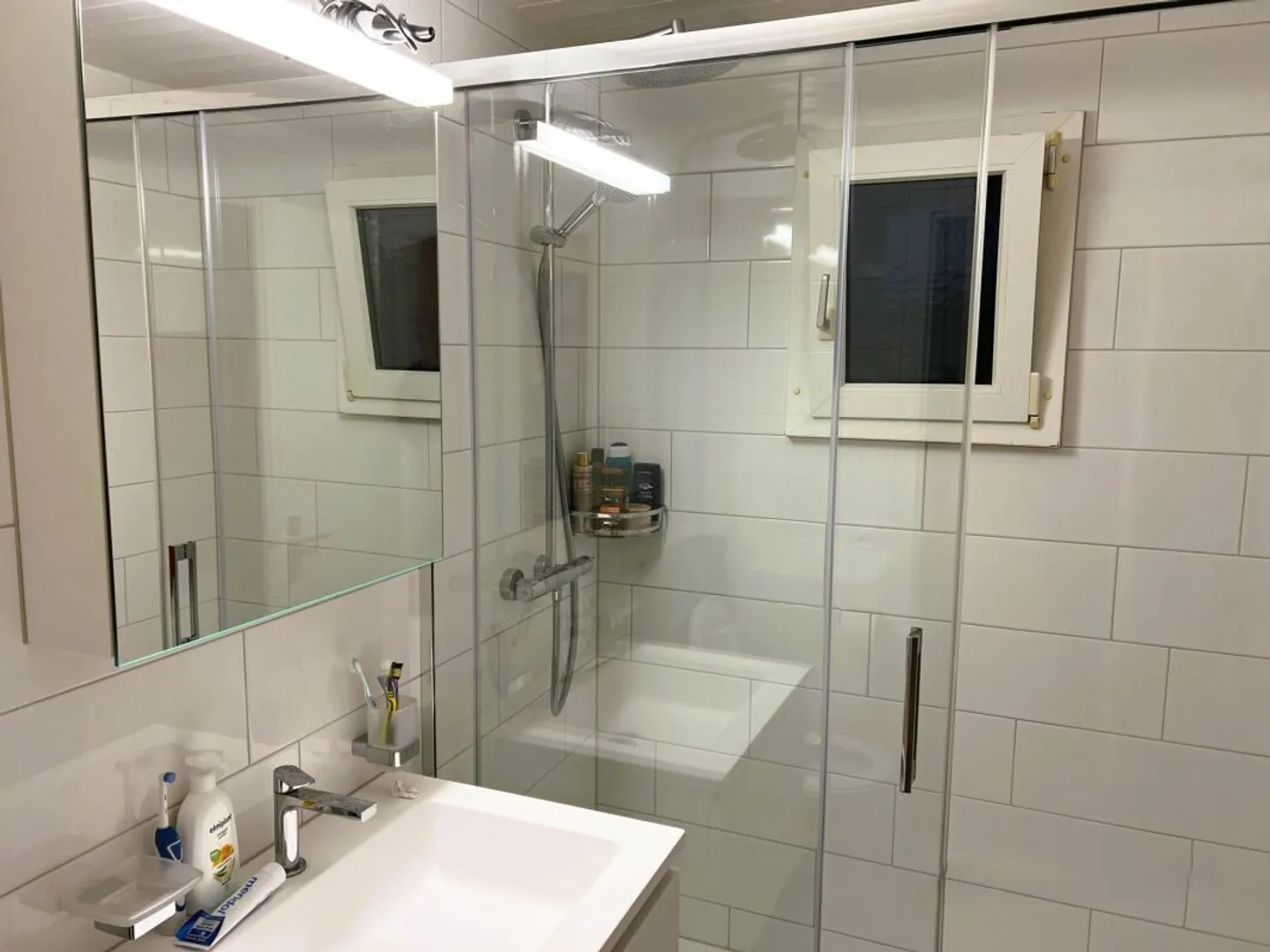 Proprietà completamente affittata per piccoli investitori a Kradolf-Schönenberg - Foto 10 di 11