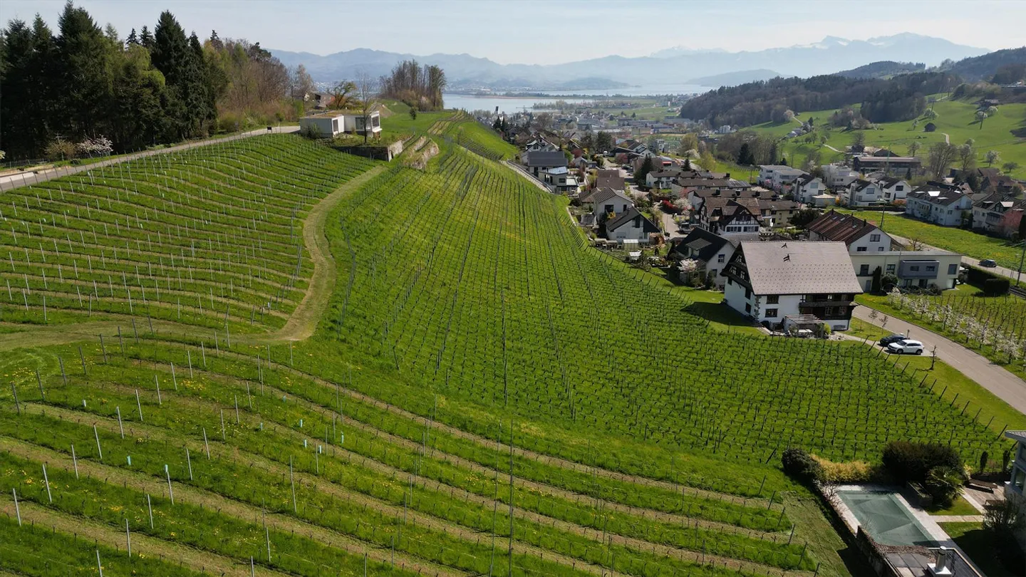 Modern 3.5-room new apartment with lake view in Wilen near Wollerau - Photo 1 of 3